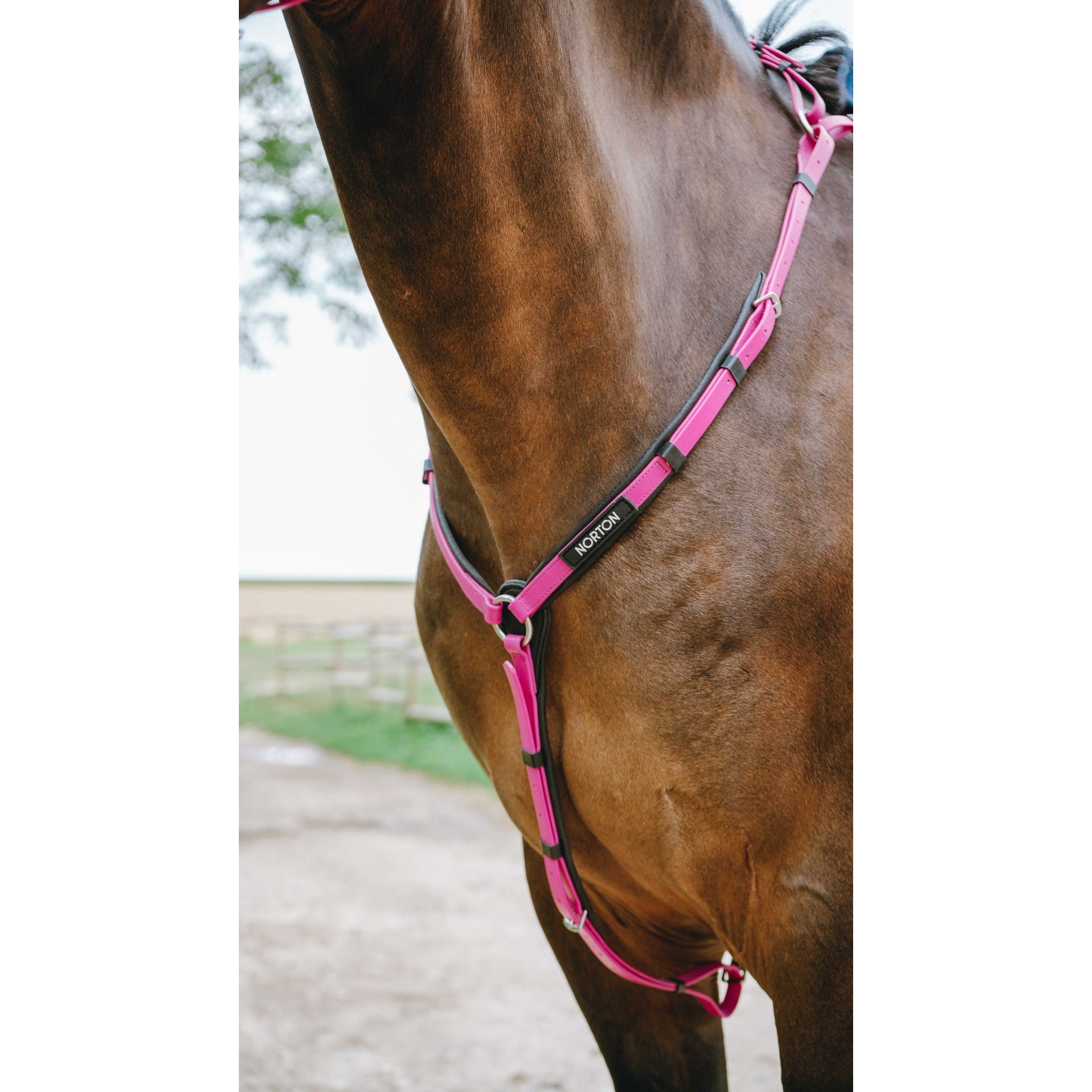 Norton Pop Breastplate Pink 306617313