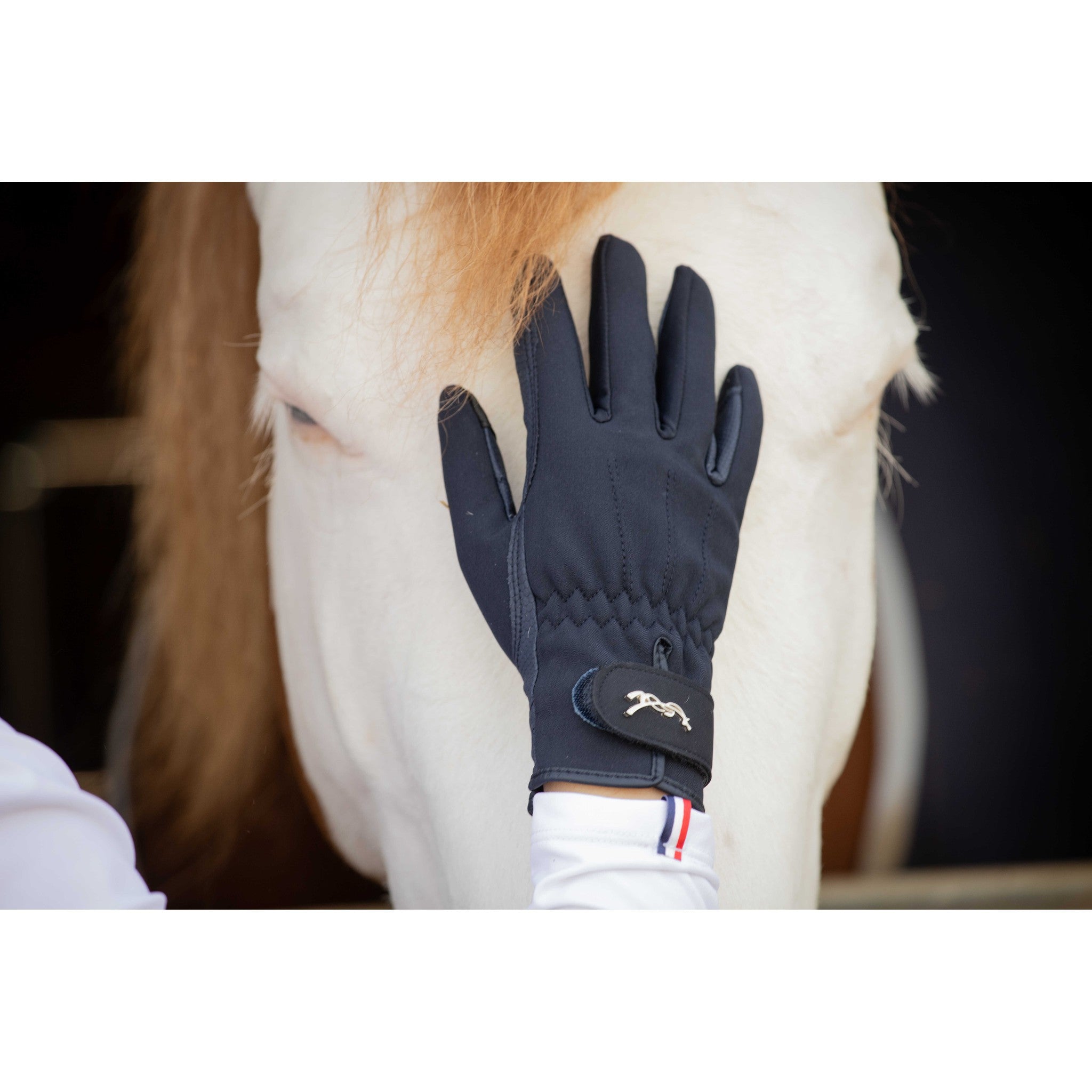Pénélope Winter Gloves Navy blue 930800765