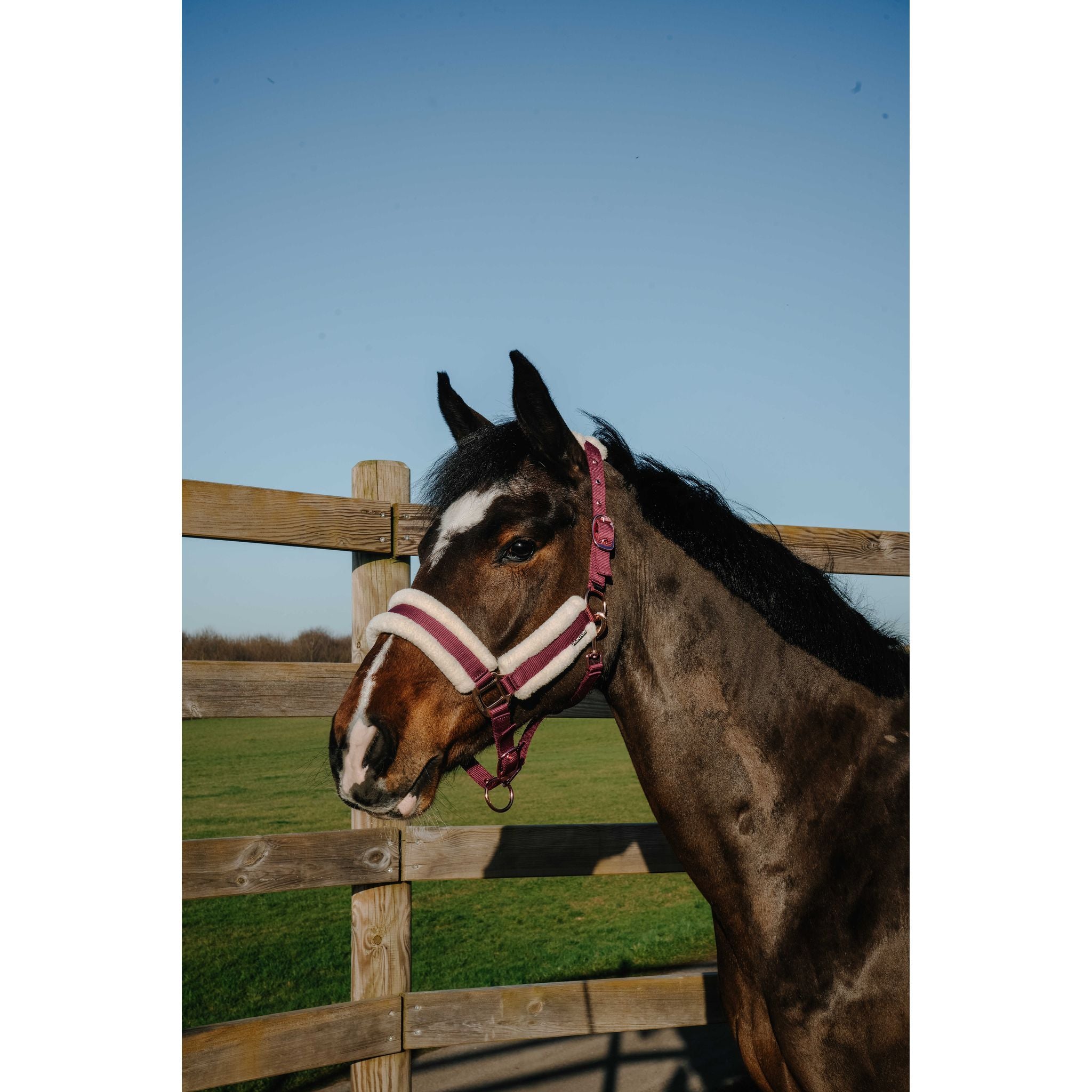 NORTON Comfy Halter Burgundy - 510280333_ambi_1