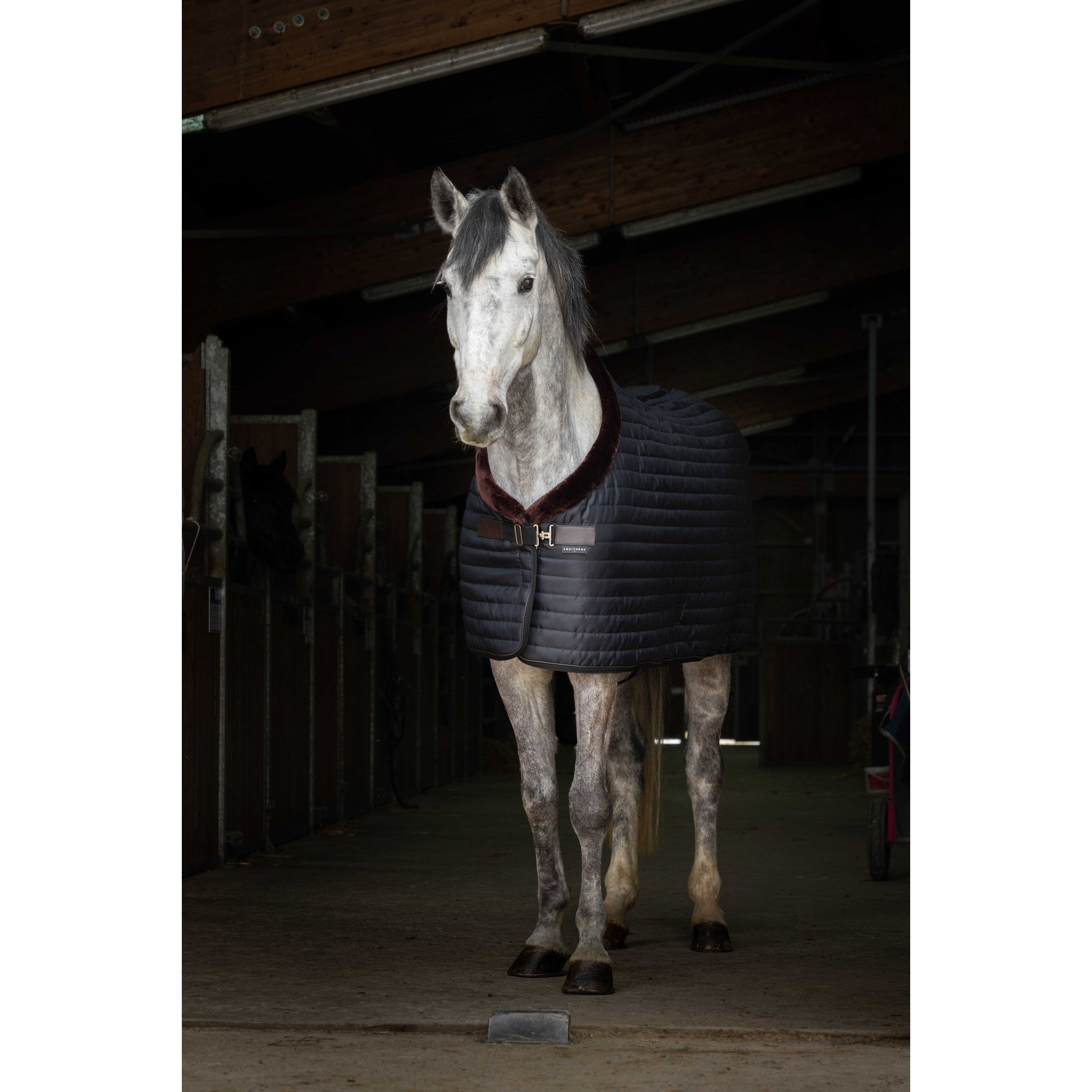 EQUITHÈME Teddy Stable Blanket with Synthetic Sheepskin Lining - Black/brown - 400809163_ambi_2