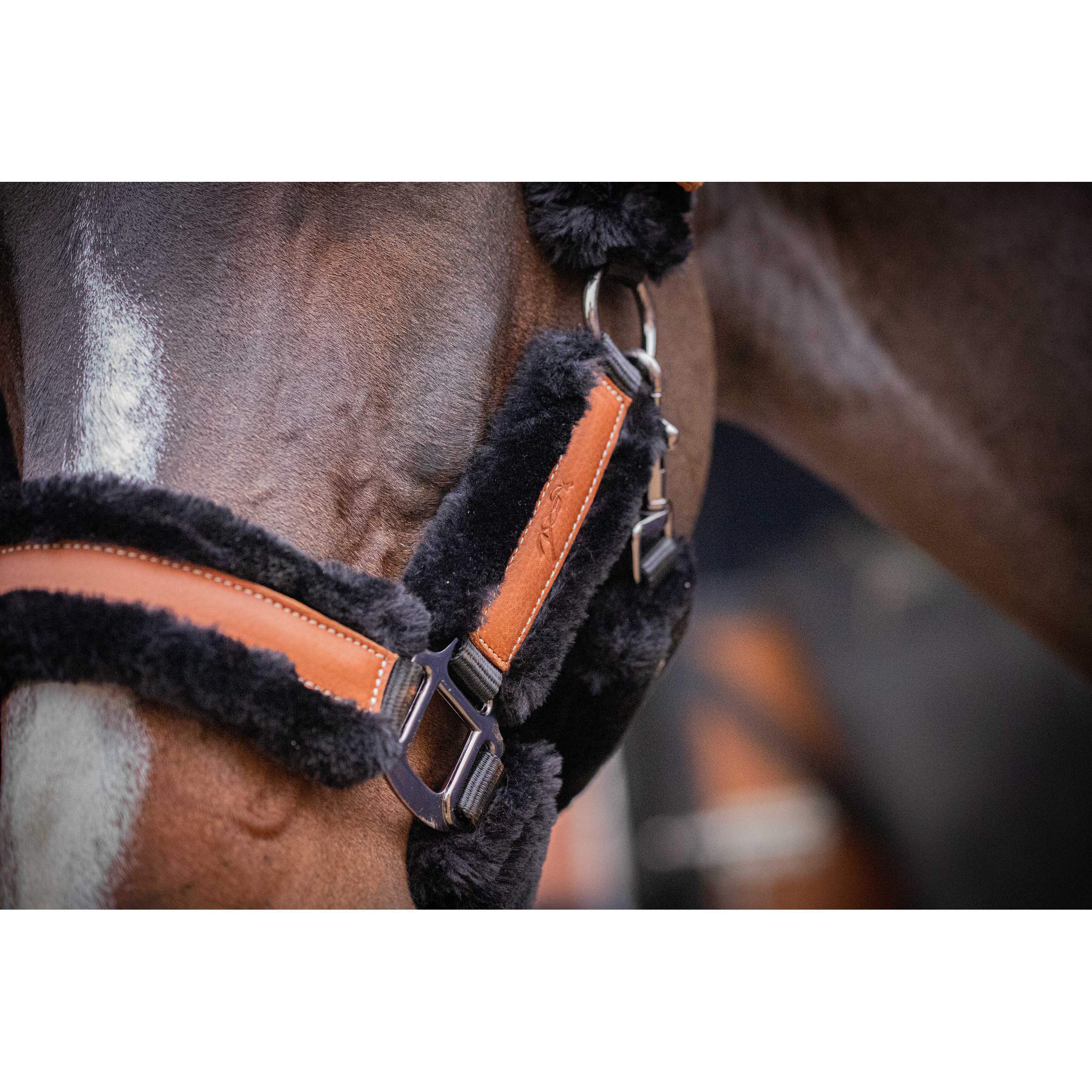 Pénélope Soft halter Black/ecru 510902325