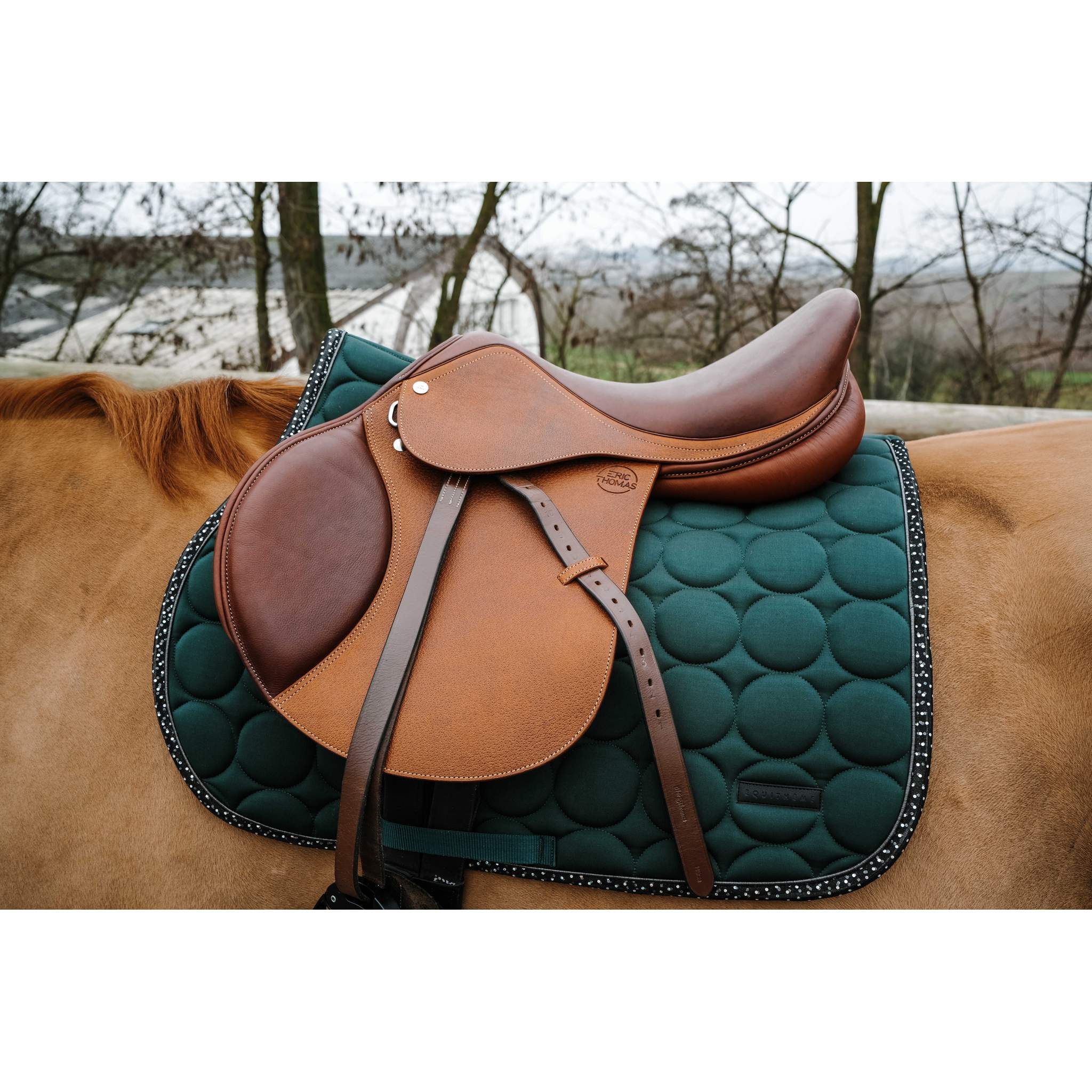 EQUITHÈME Disco All-Purpose Saddle Pad Dark green - 204018009_ambi_1
