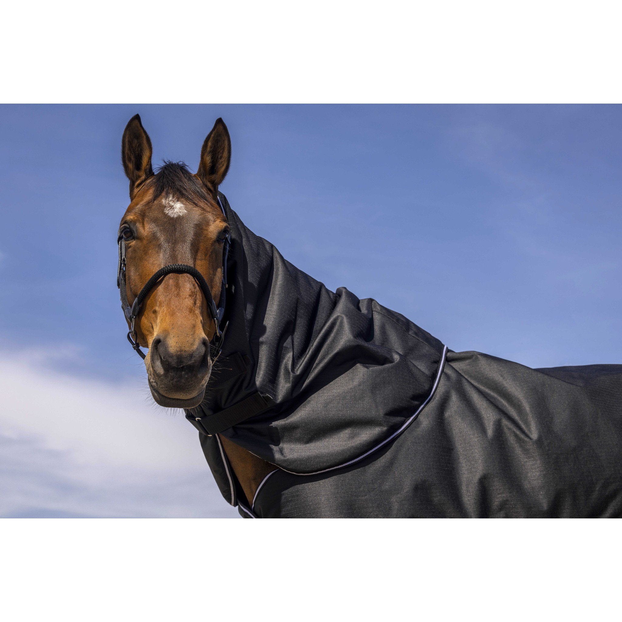 EQUITHÈME 600D Neck cover Black 400557233