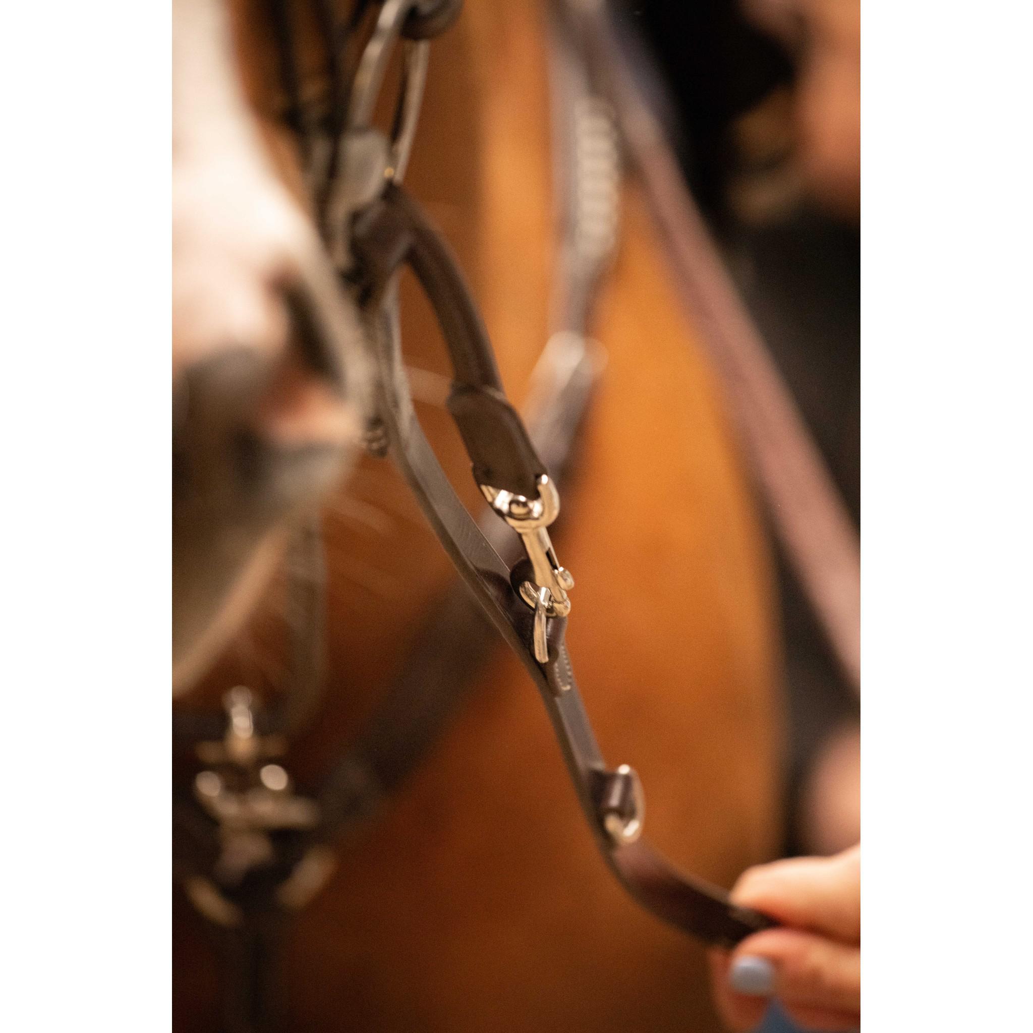 Pénélope Howlett training aid Havana 306103018