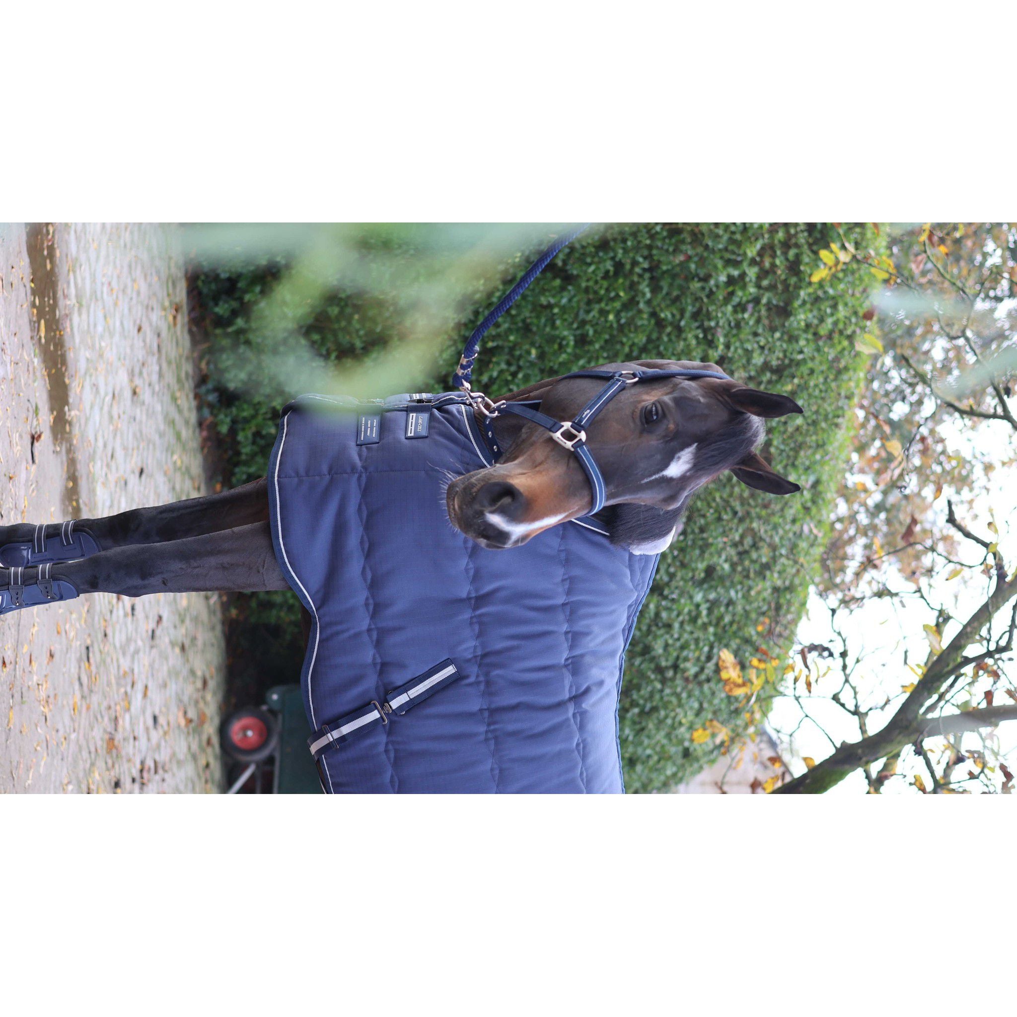 Lami-Cell Stable Master Stable Rug Navy blue 400766060