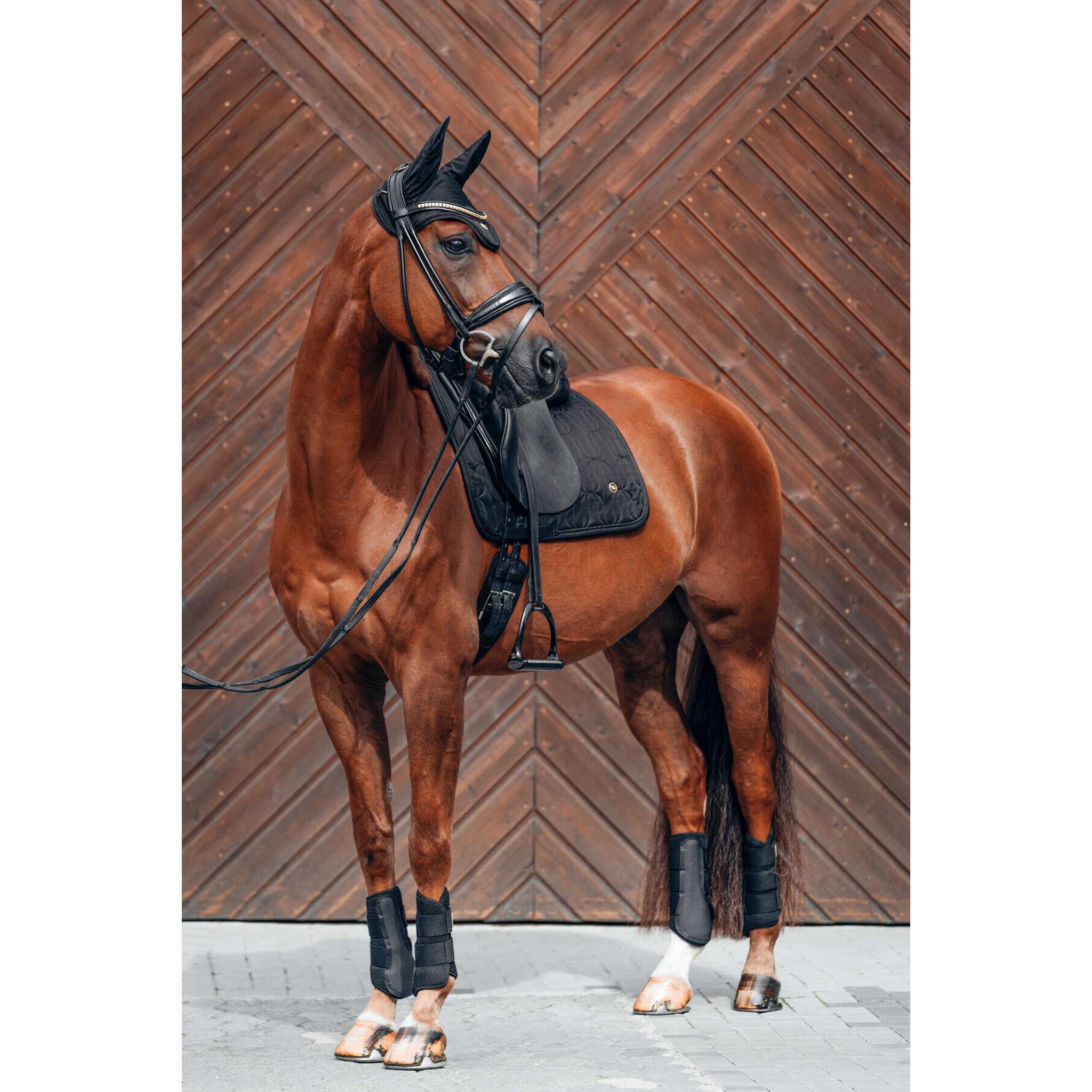 Back on Track® Deep Nights saddle pad - Dressage Black b23729003