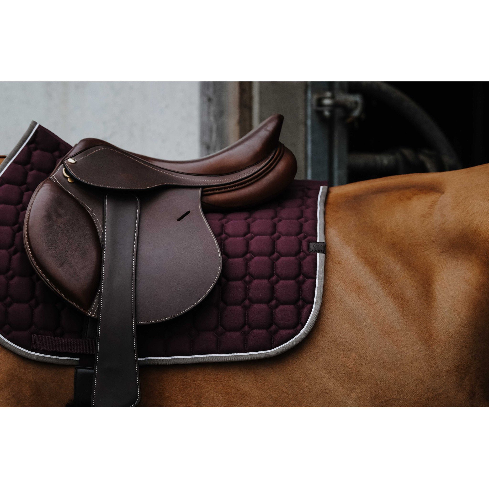EQUITHÈME Orion saddle pad - All purpose Plum 204774034