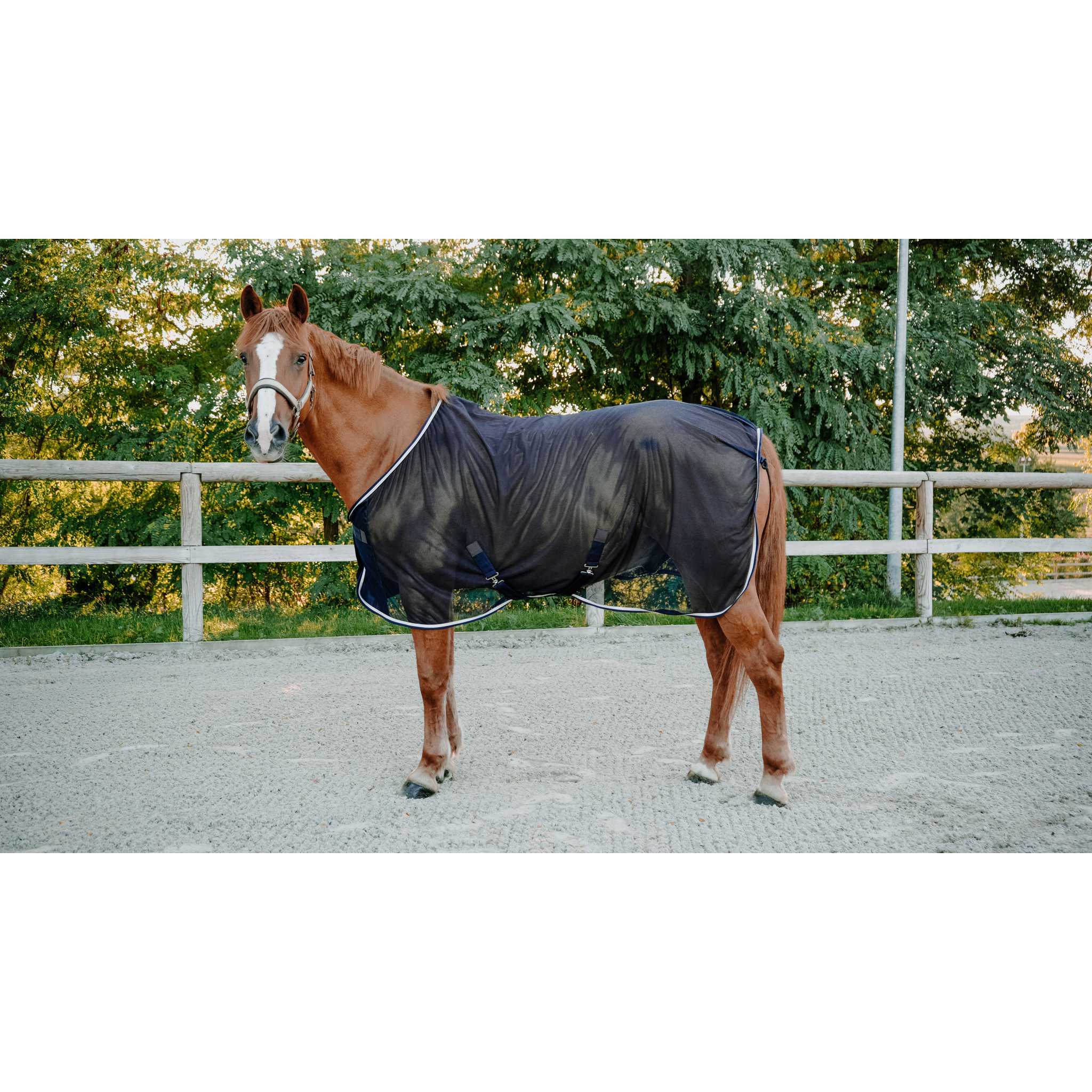 EQUITHÈME Serenity Sheet Navy blue - 400727760_ambi_1