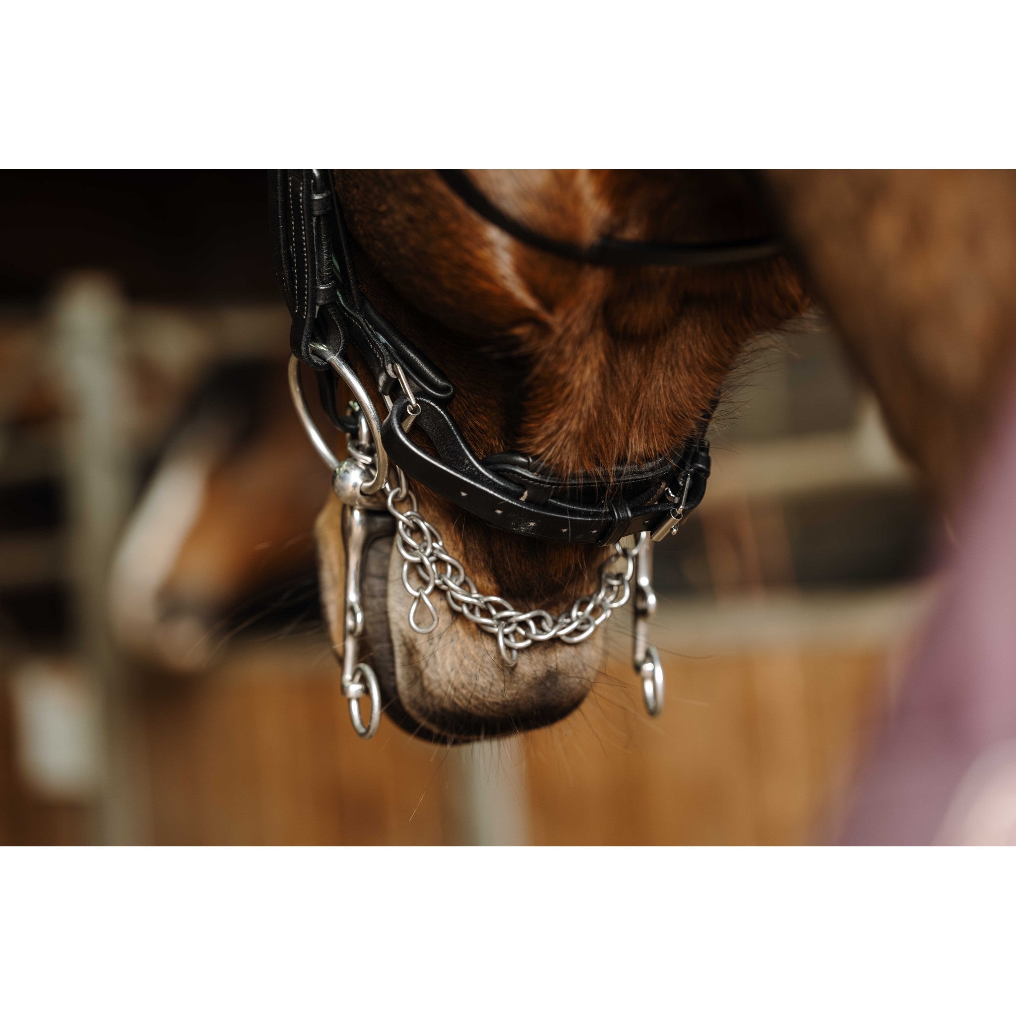 Norton Basal Bridle Black 303036302