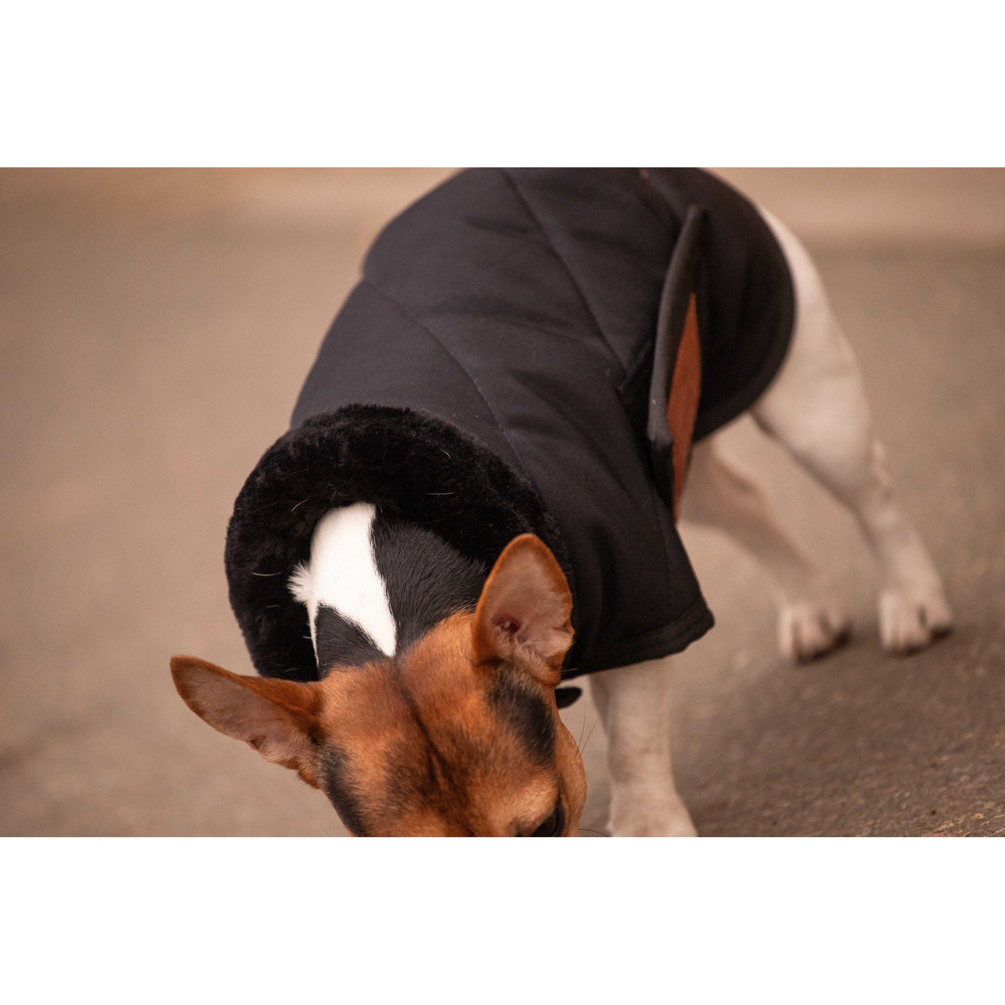 Paddock Sports Diagonal Dog rug Black 409850230