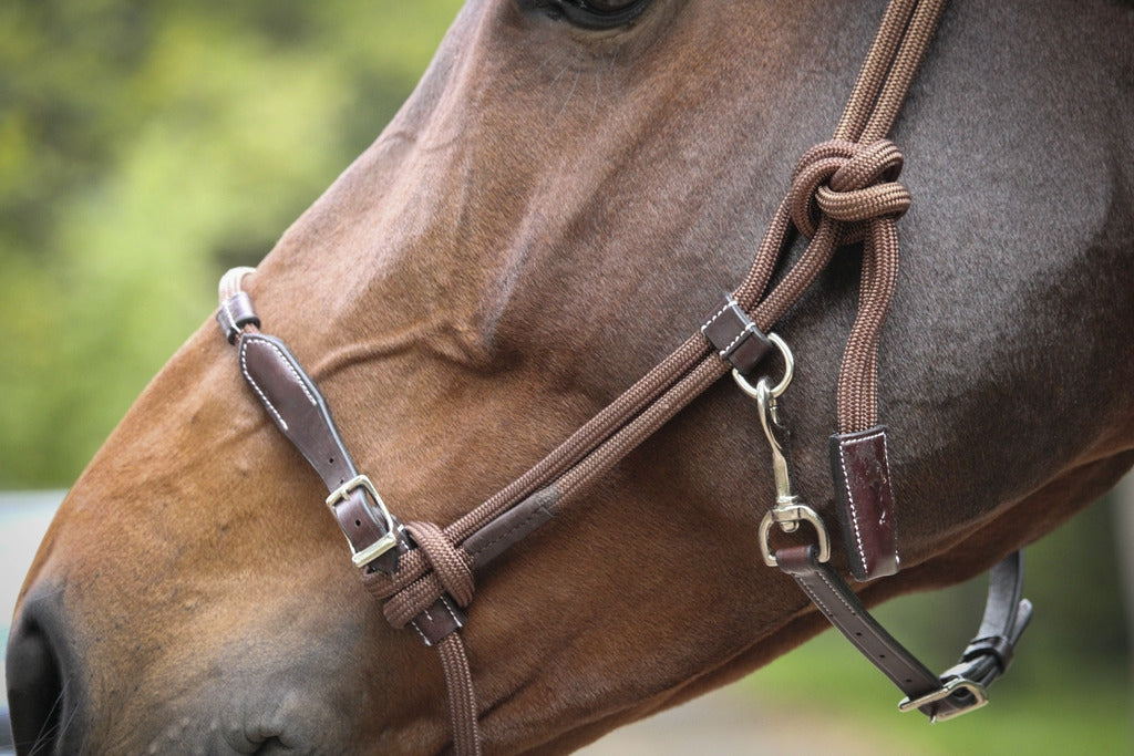 Pénélope Rope halter Havana