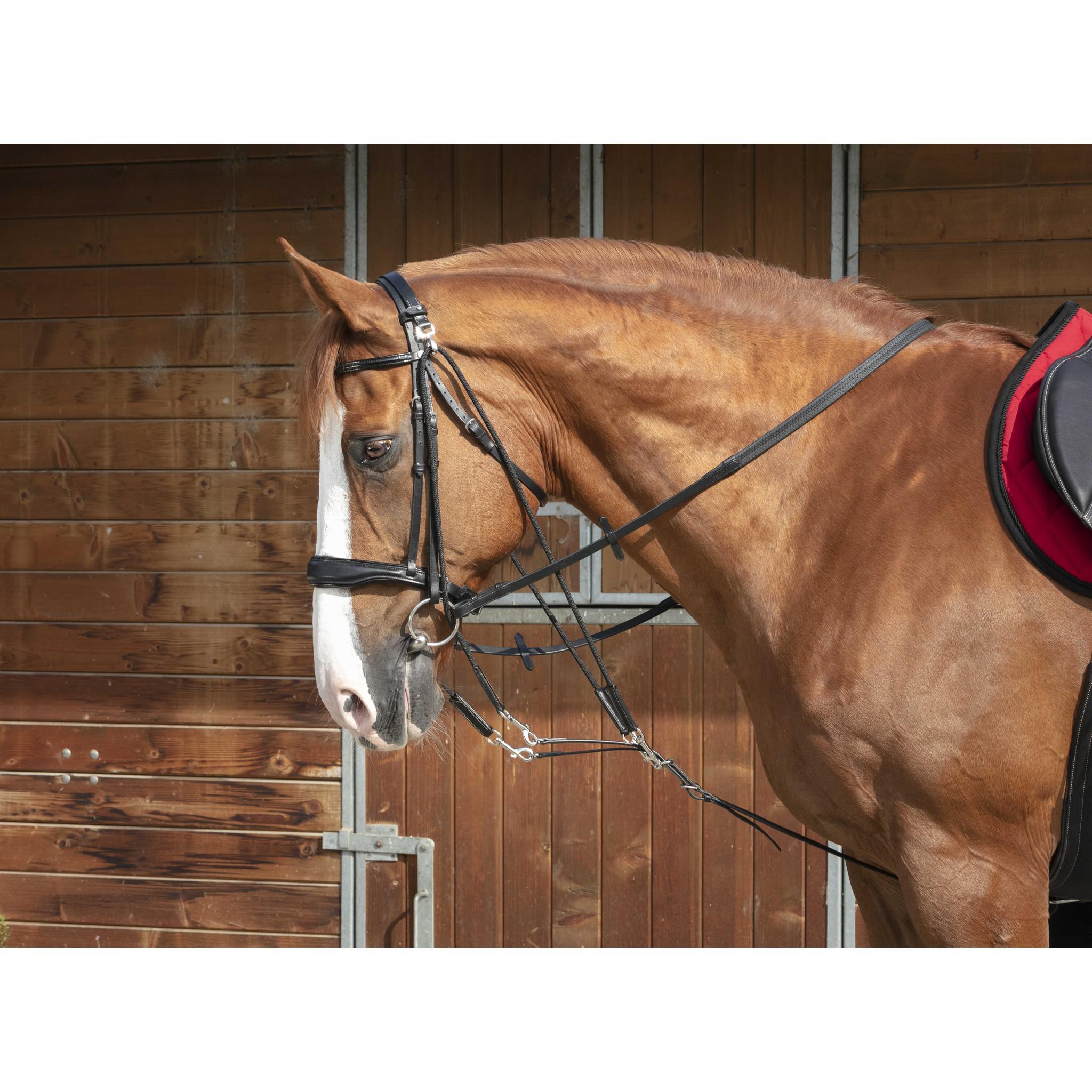 Norton Pro Gogue with pulleys Black 306403302