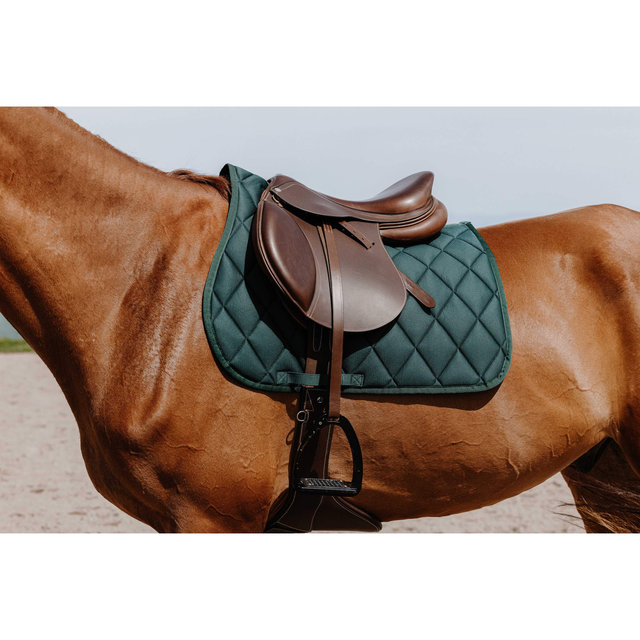 Riding World School Saddle Pad - All purpose Dark green 204057009