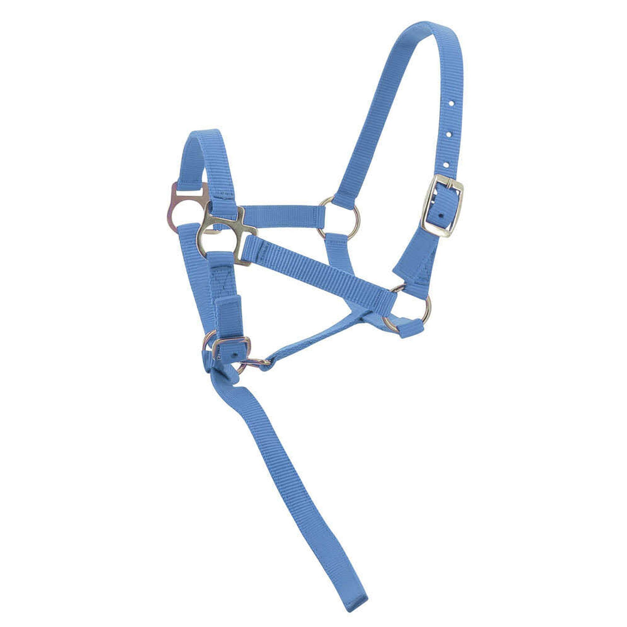 Norton Nylon halter foal Light blue 510038012