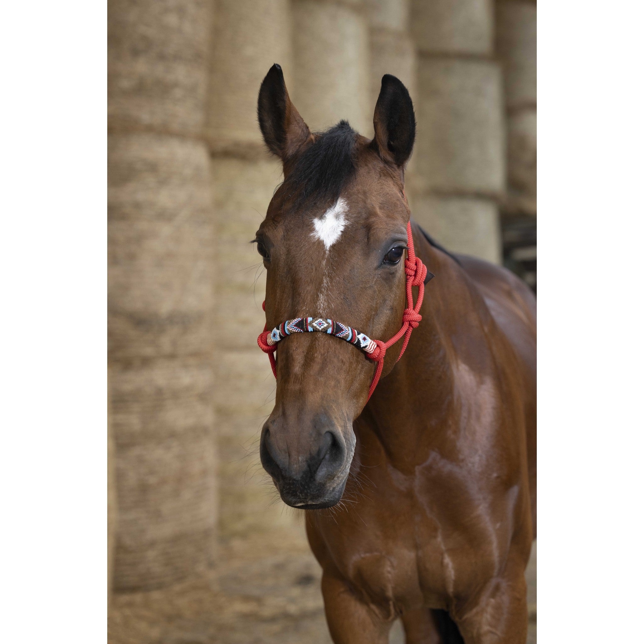Norton Pearl Ethological Halter Red 510171303