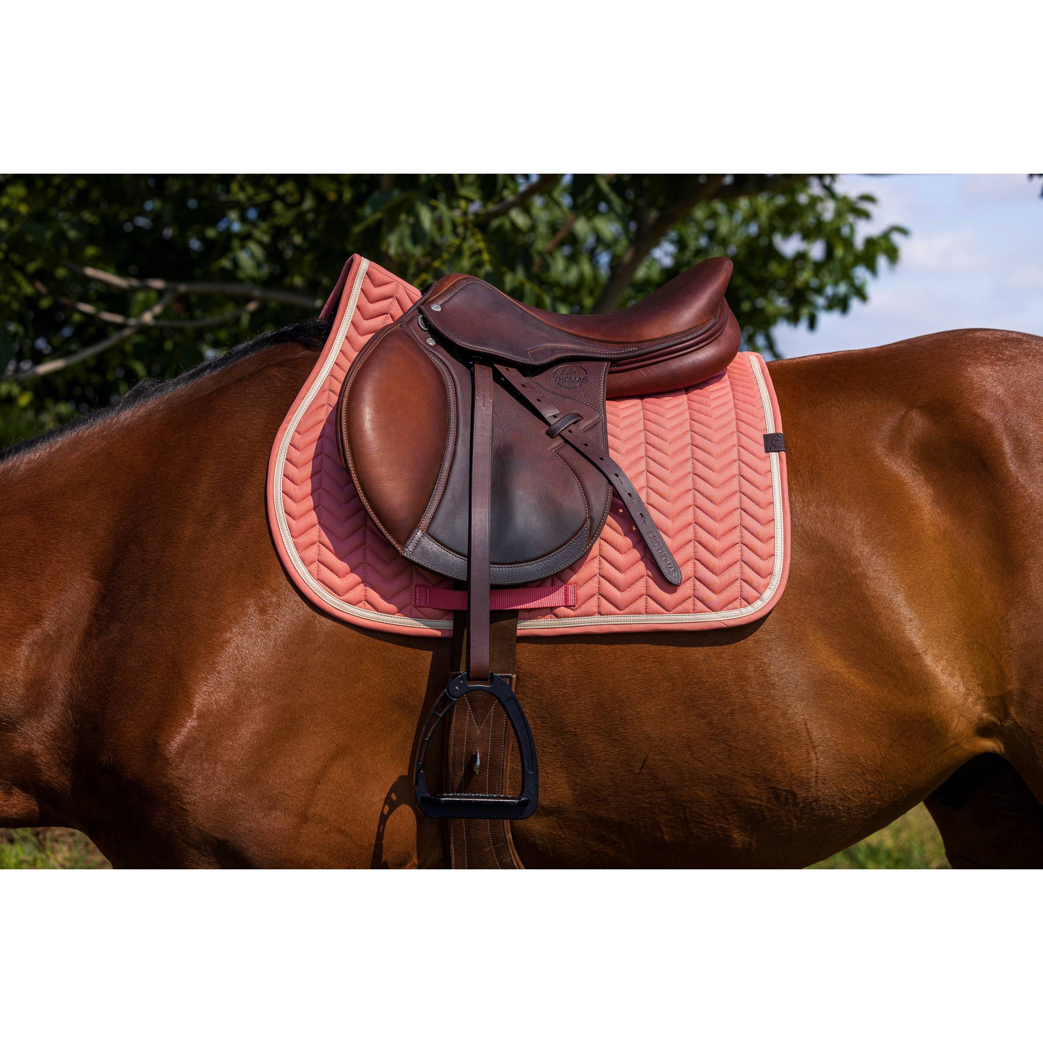 EQUITHÈME Softypop Saddle Pad - All purpose Salmon 204003025