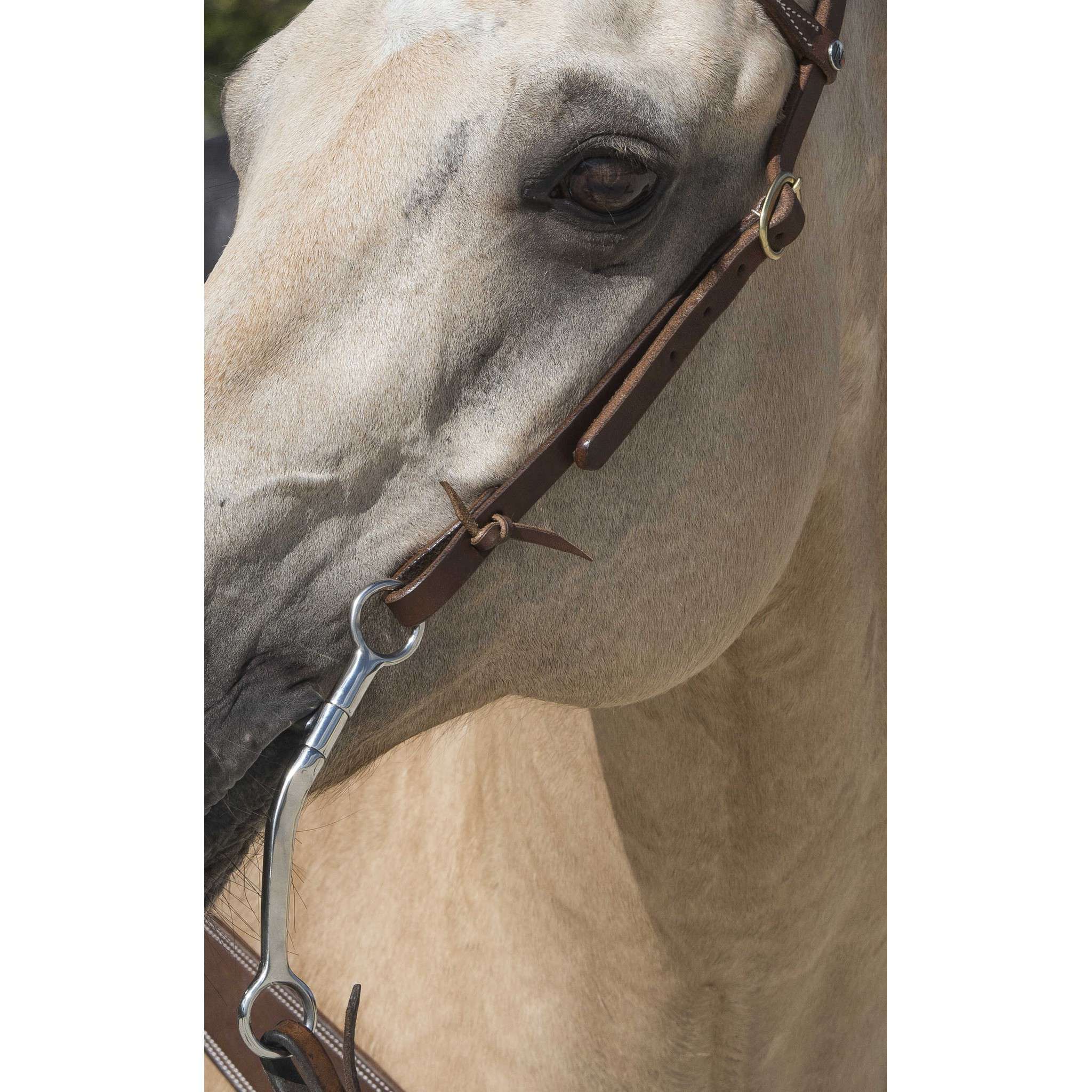 Westride one ear Bridle by Franck Perret Chocolate 802064318
