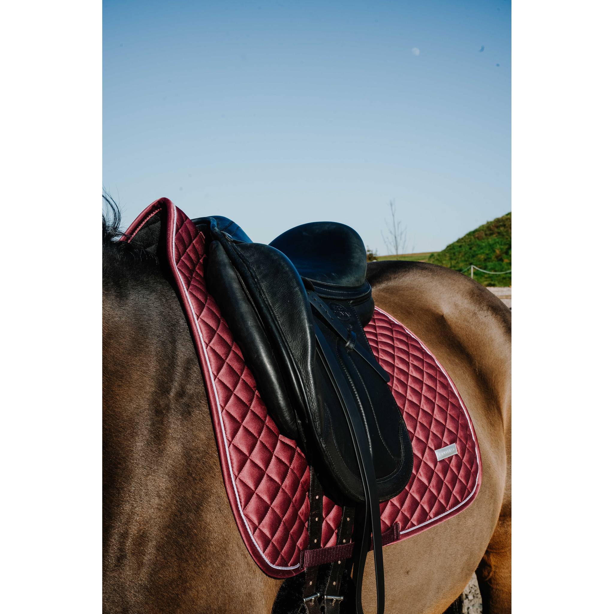 EQUITHÈME Nacre Dressage Saddle Pad Burgundy - 204030033_ambi_2
