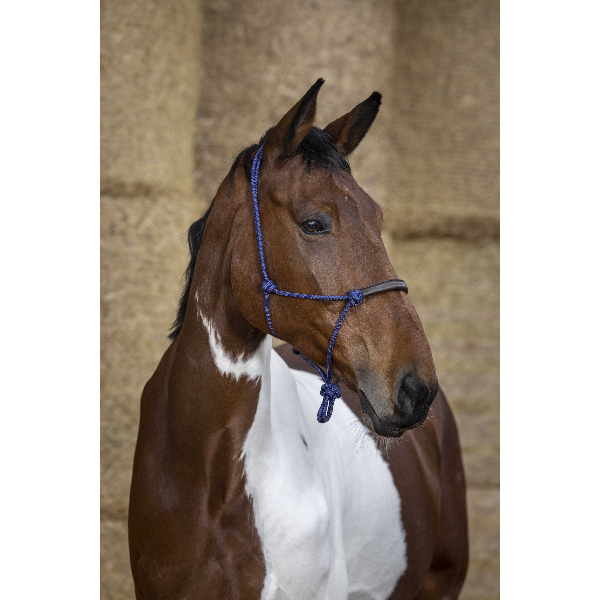 Norton synthetic rope Ethological Halter Royal blue 510157306