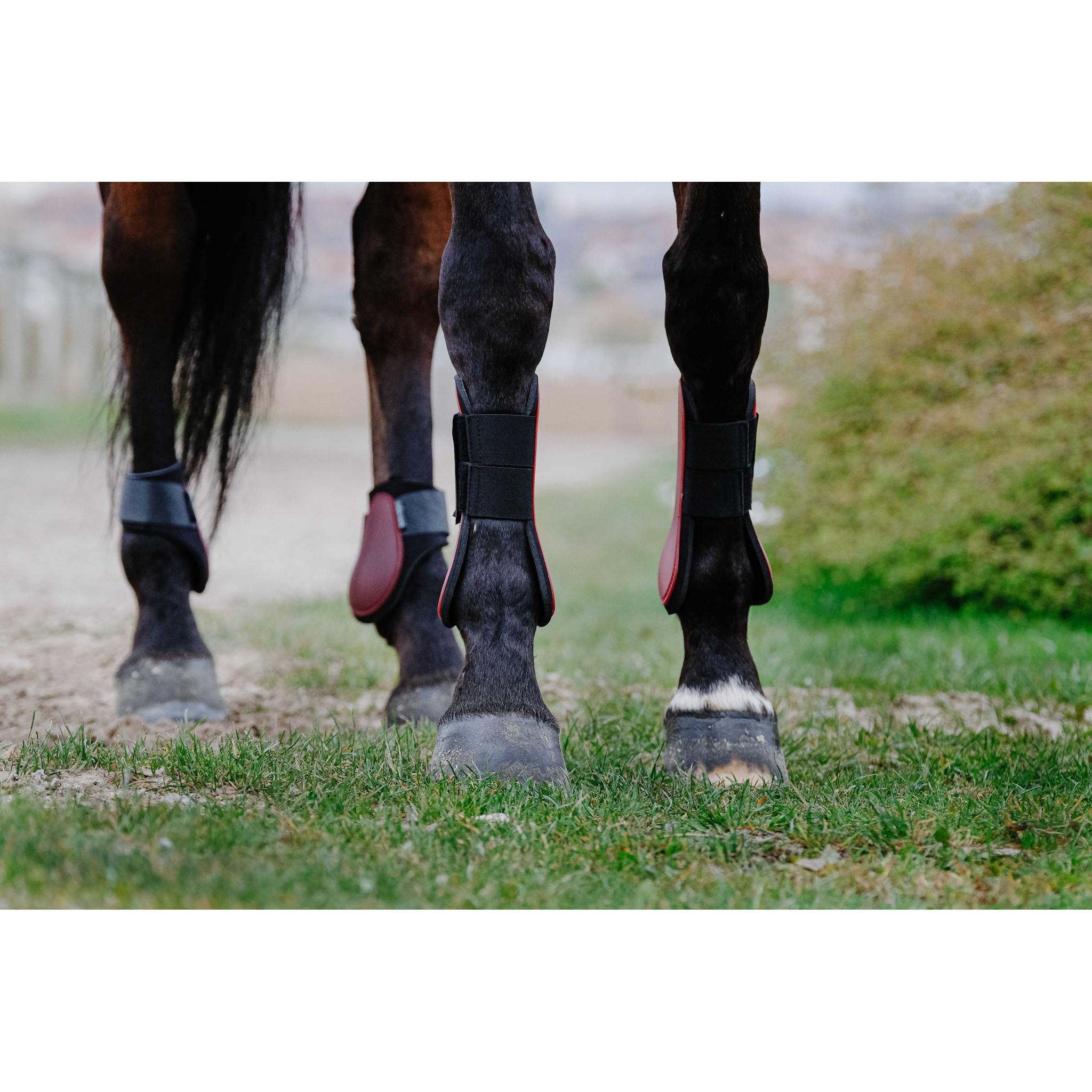 Riding World Fetlock boots Burgundy 530122033