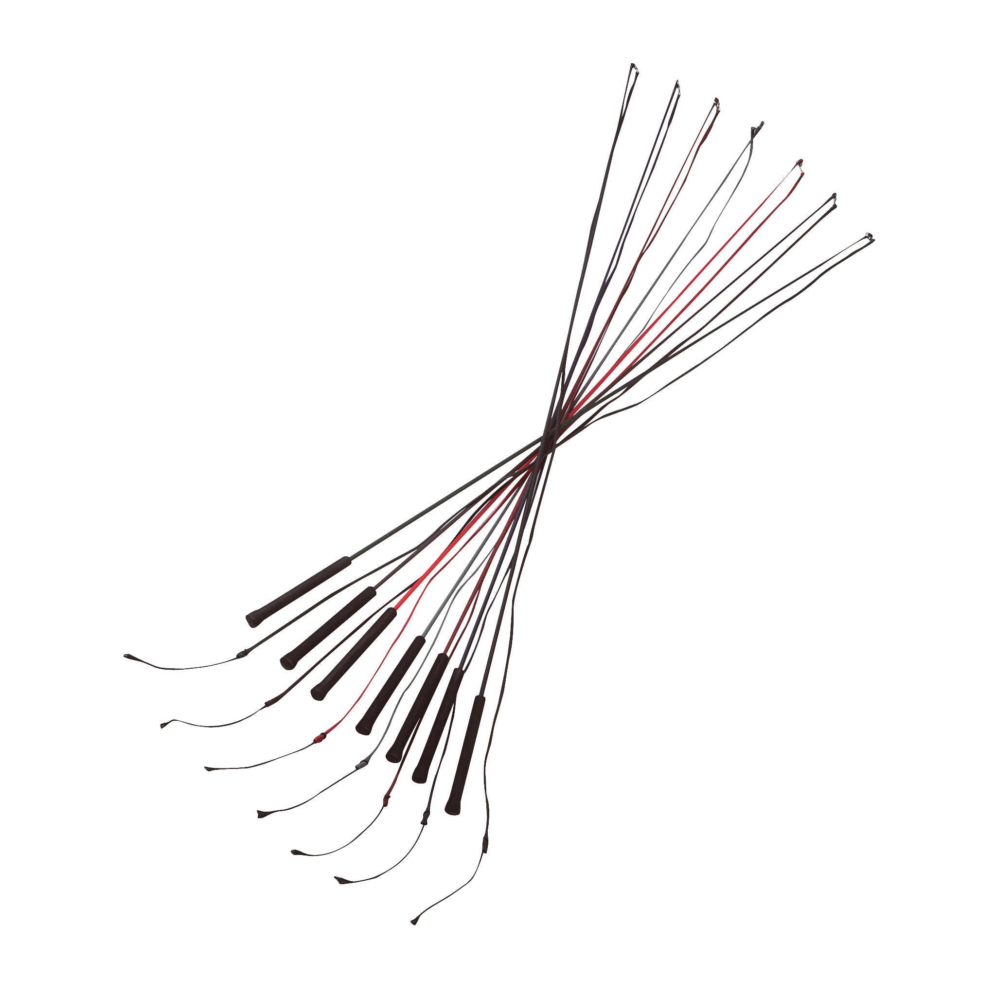 WHIP & GO Solid Polyamide Lunge Whip Black 953400