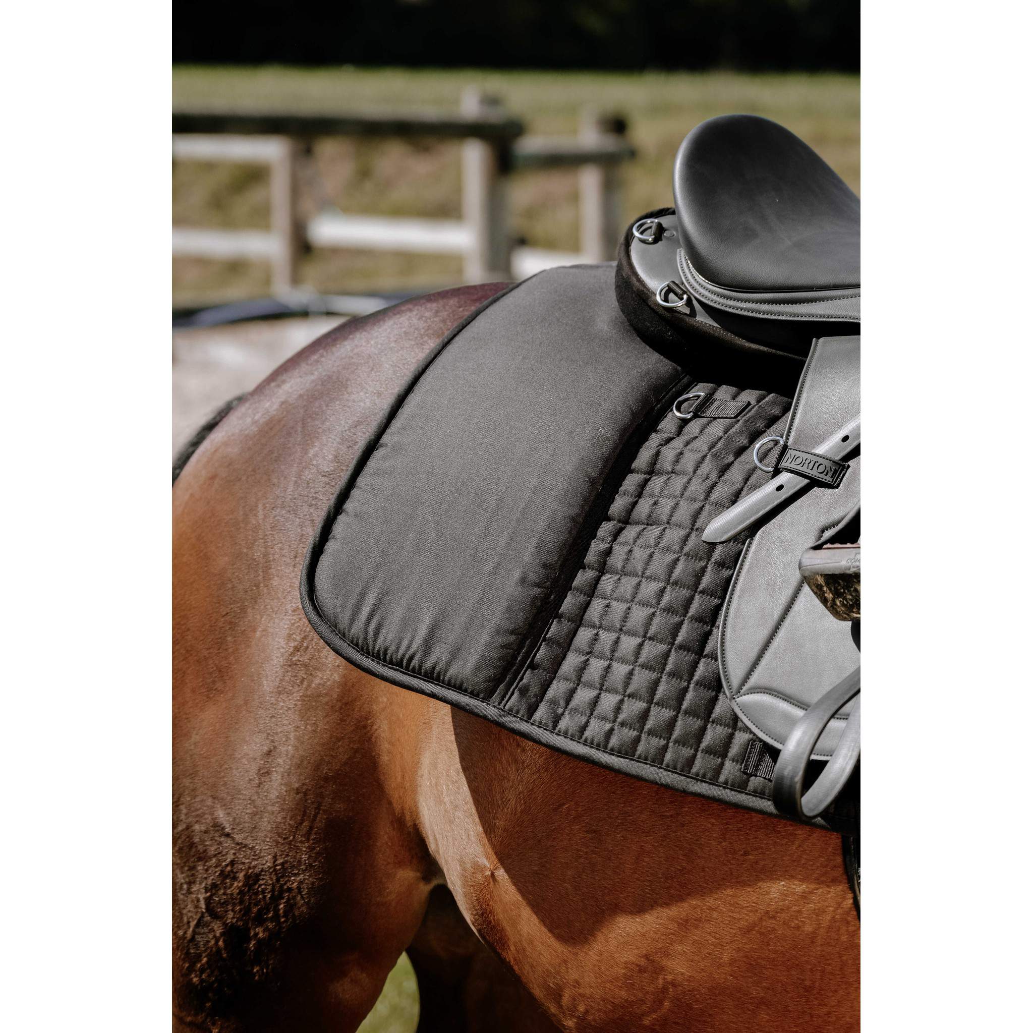 Randol's Confort Long trail pad Black 204480302