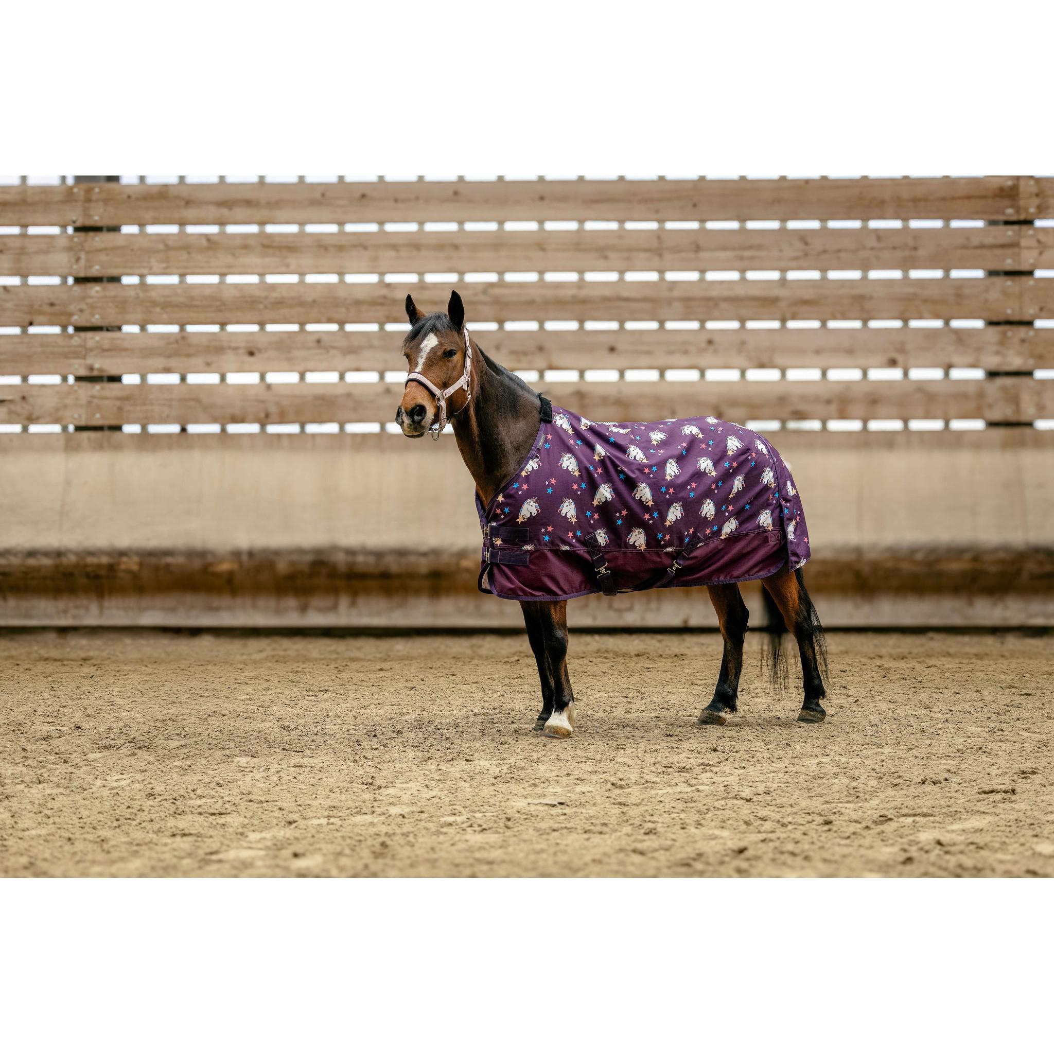 EQUITHÈME Sheet - Licorne 600D Plum 400583150