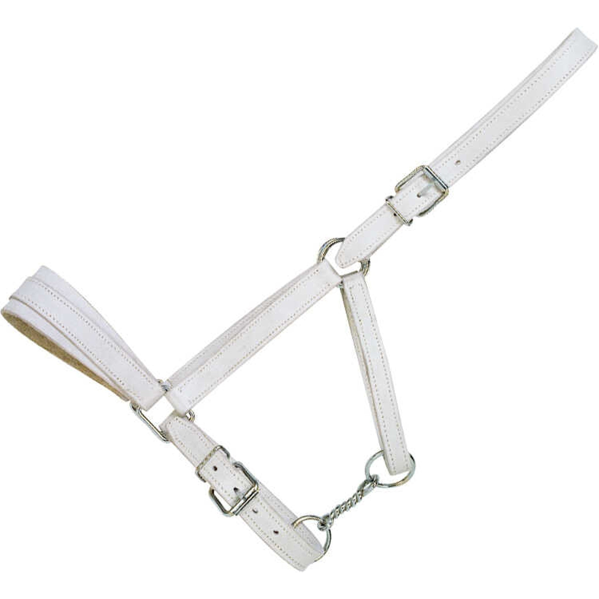 Draught horse headcollar Norton Club White 510320