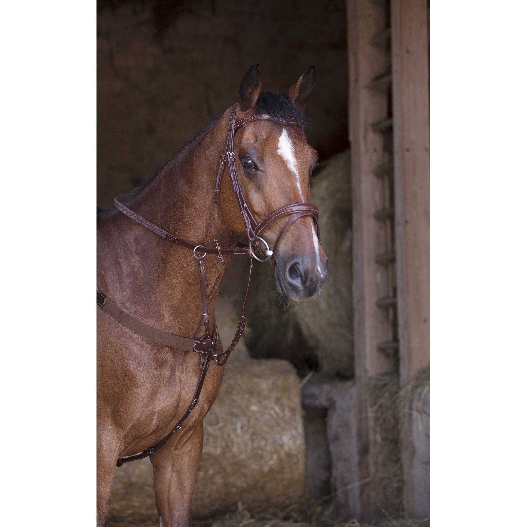 Norton Pro Elastic Hunting Breastplate Havana 306588318