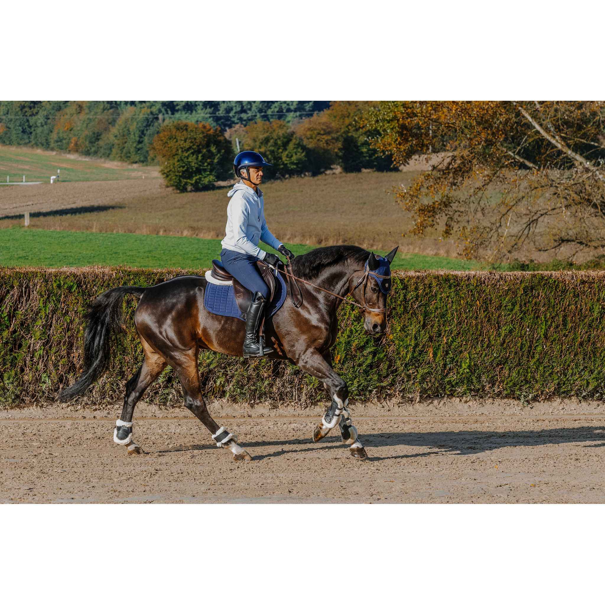 EQUITHÈME Axel Sweatshirt - Adult Blue/light blue 963223122