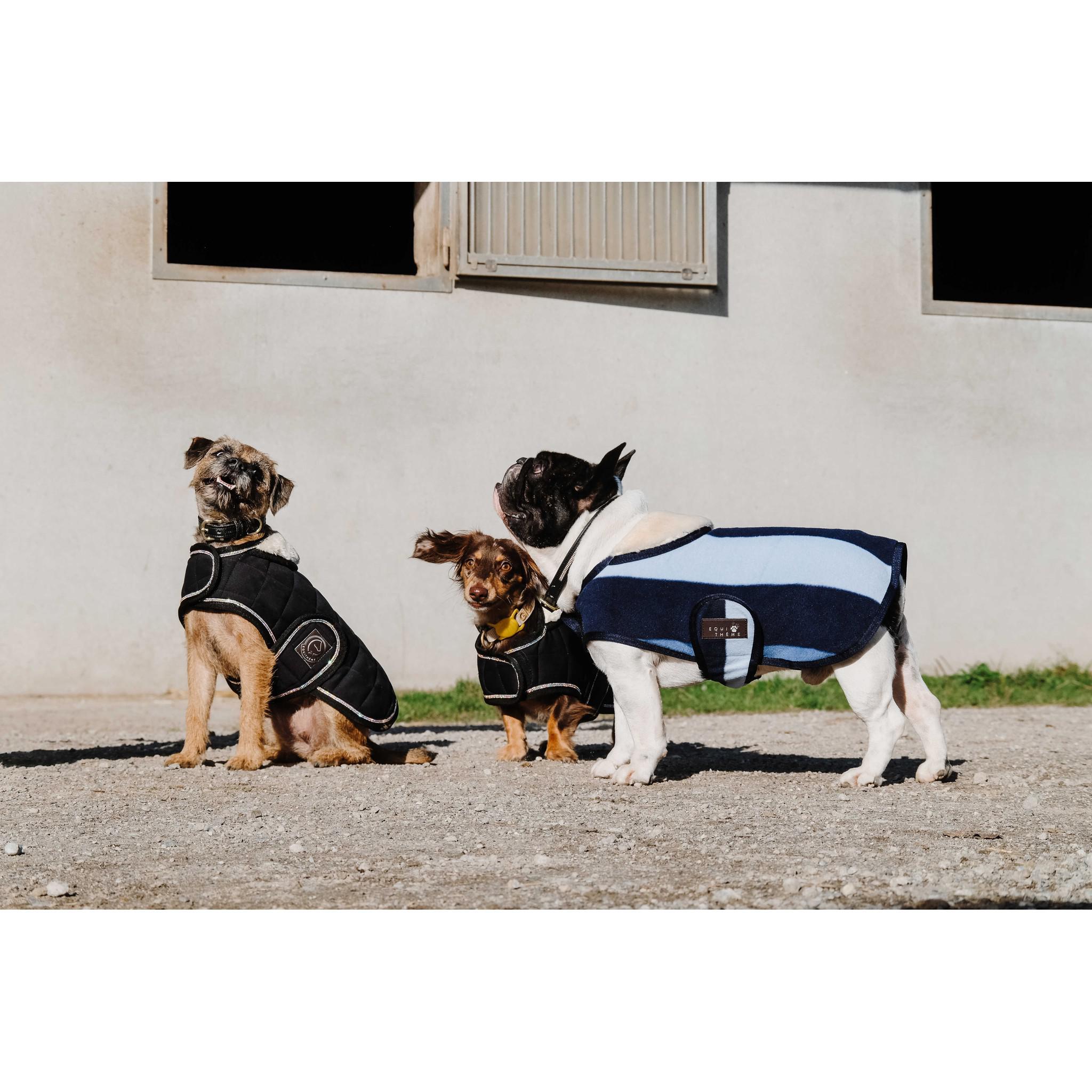 EQUITHÈME New Market Dog Rug Navy blue 409033740
