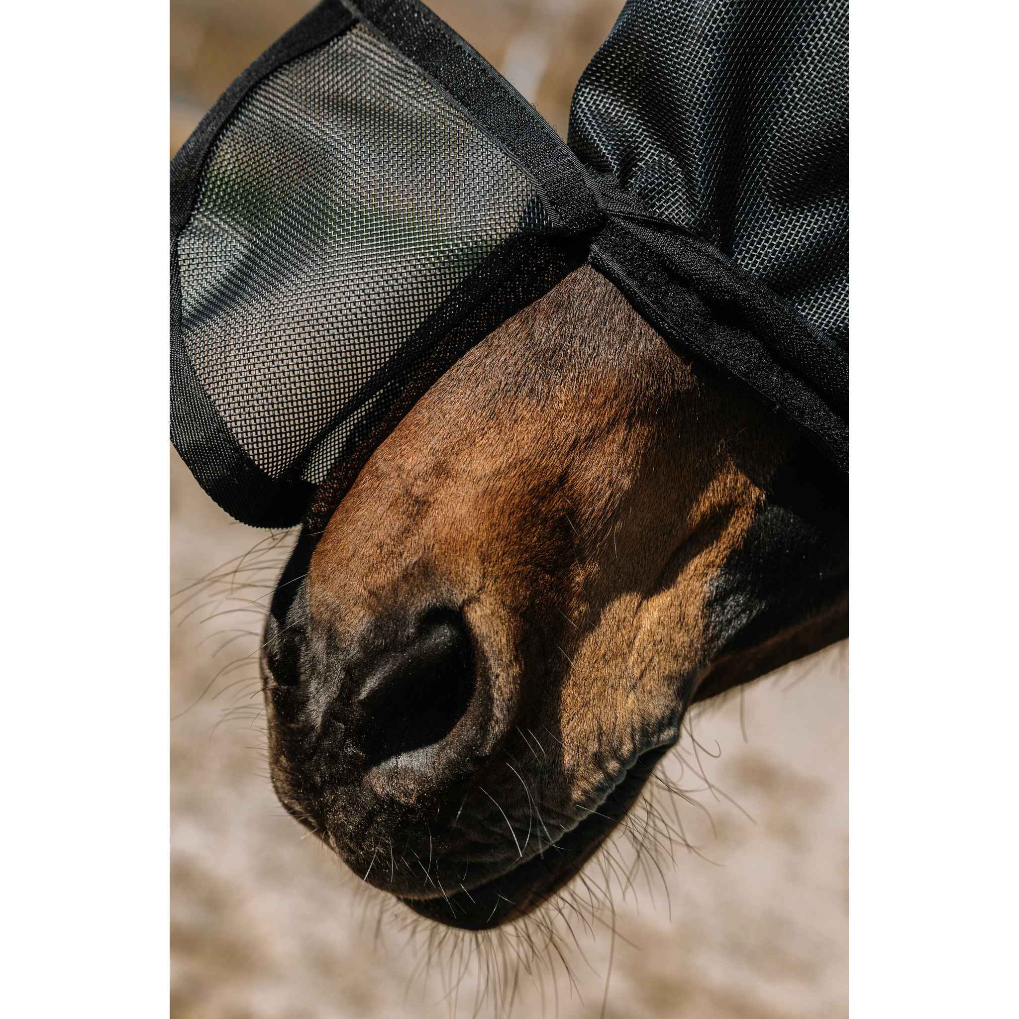 EQUITHÈME Protec UV Protection Fly Mask Black 306020003