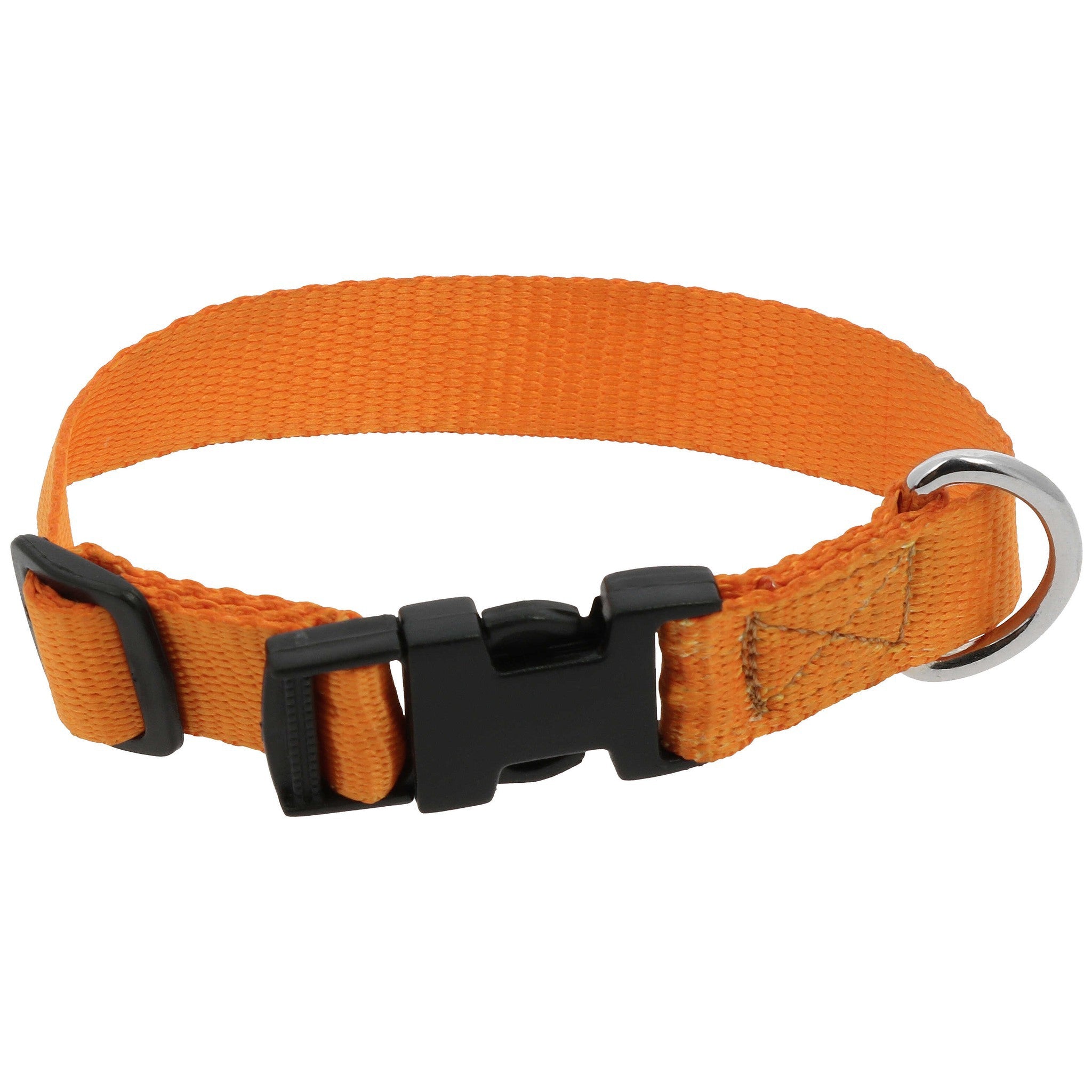 Riding World Pat Dog collar Orange 409058830