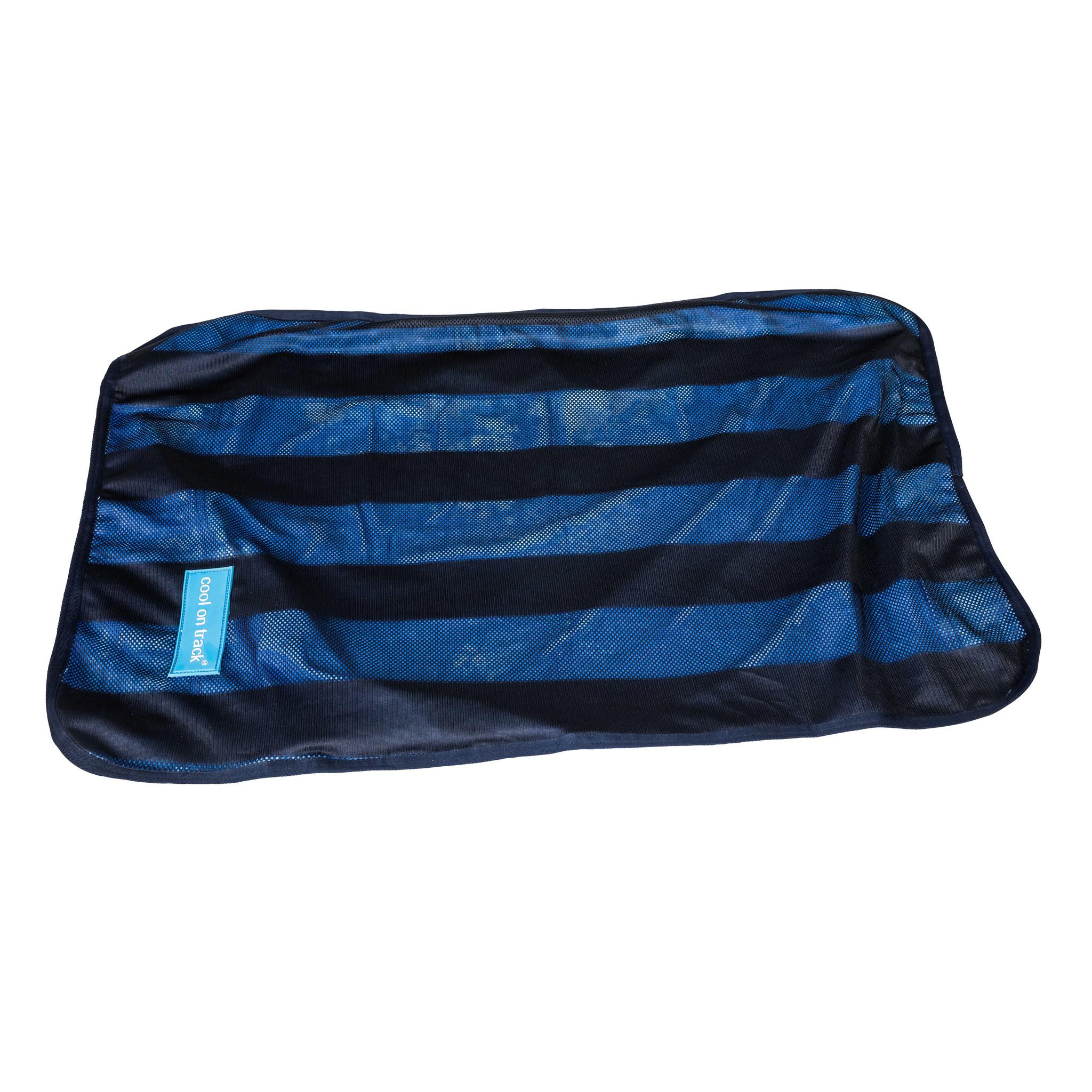 Back on Track® Cooling Towel Blue b42010304
