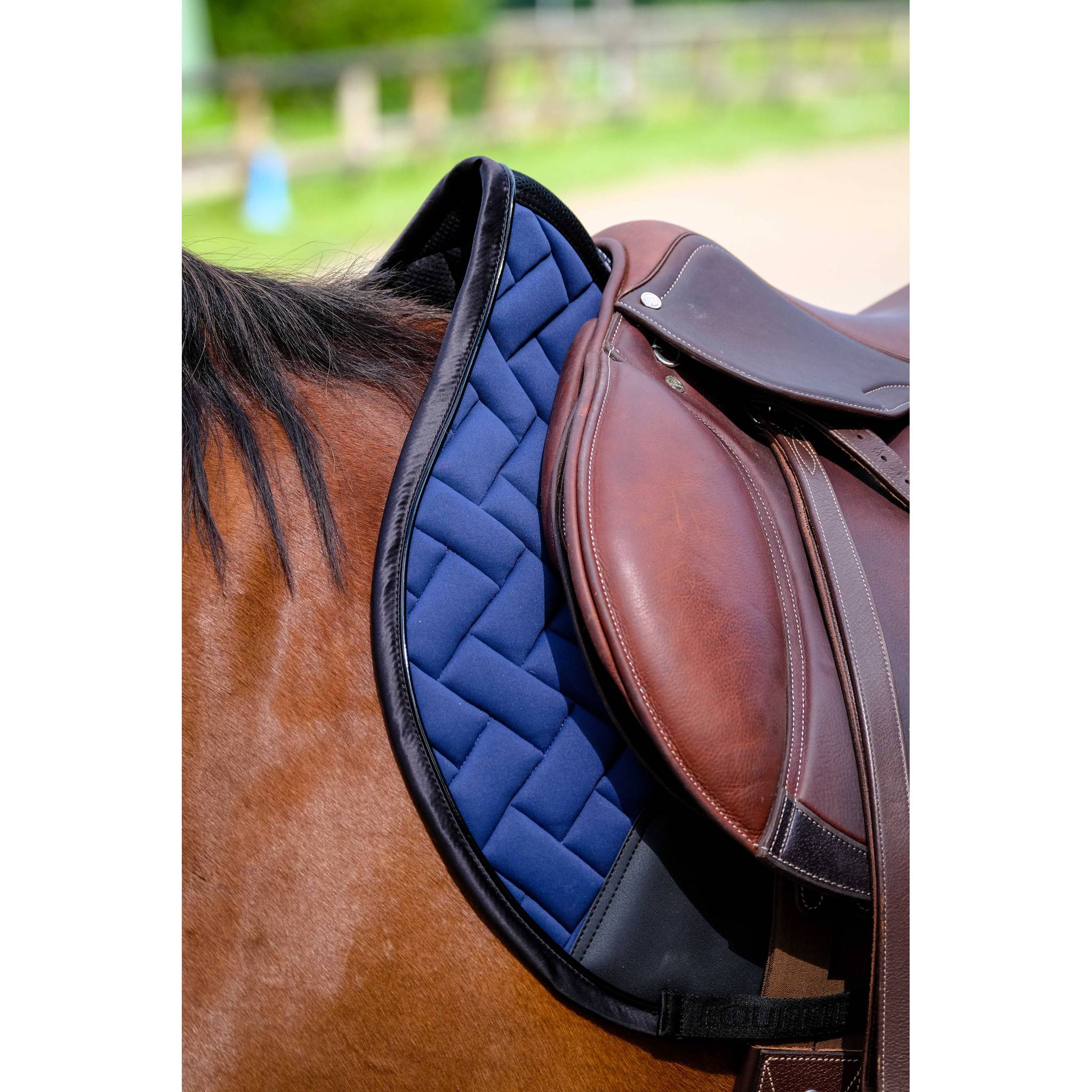 EQUITHÈME Impulsion Saddle Pad - All purpose Navy blue 204006007