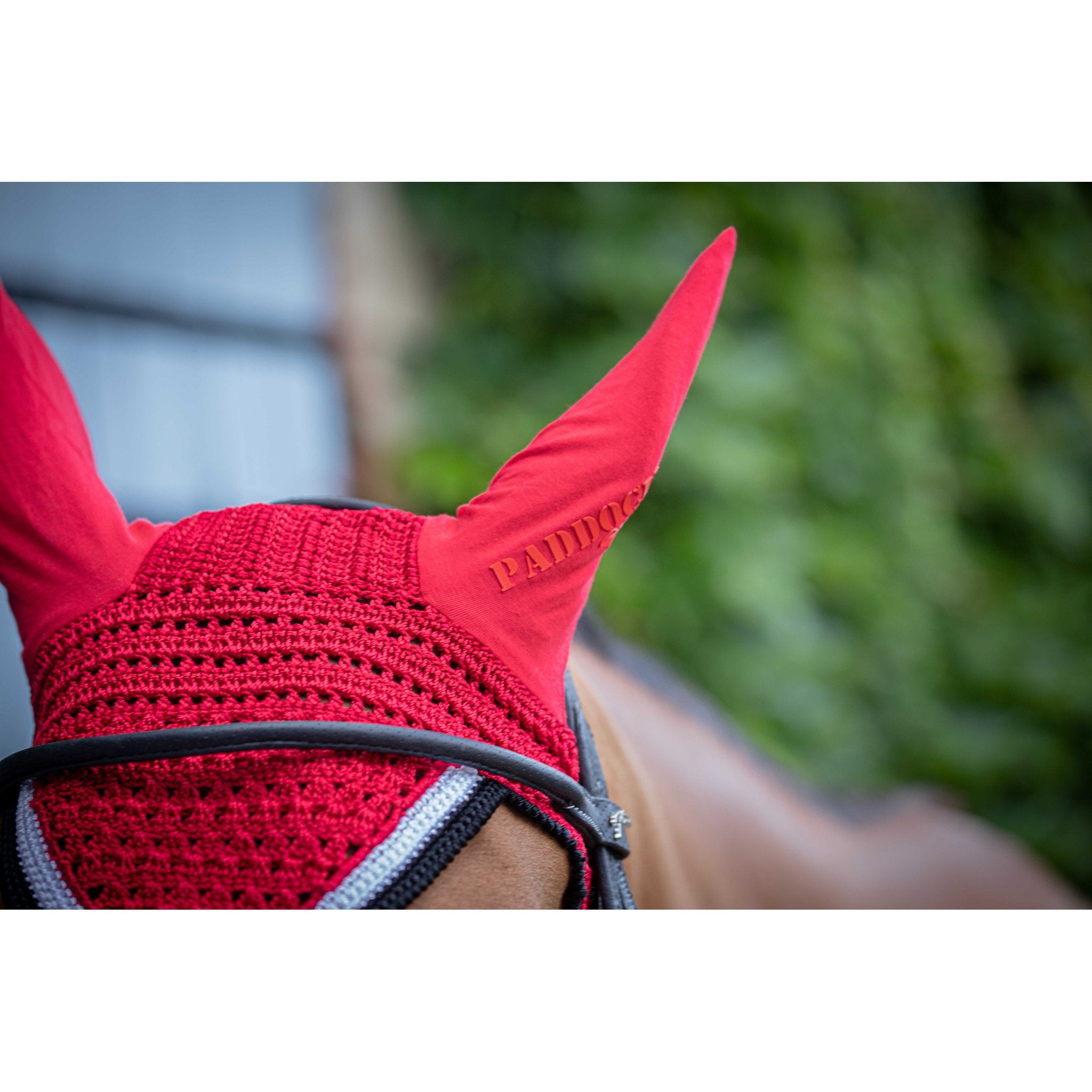 Paddock Sports Origine Fly Veil Red - 306988003_ambi_1