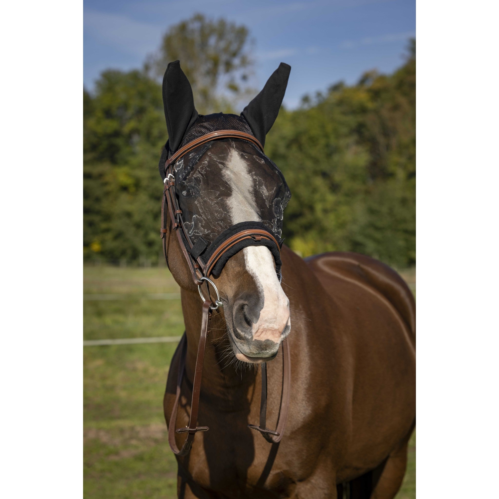 EQUITHÈME Training Anti-UV Fly Mask - Black - 306009201_ambi_1
