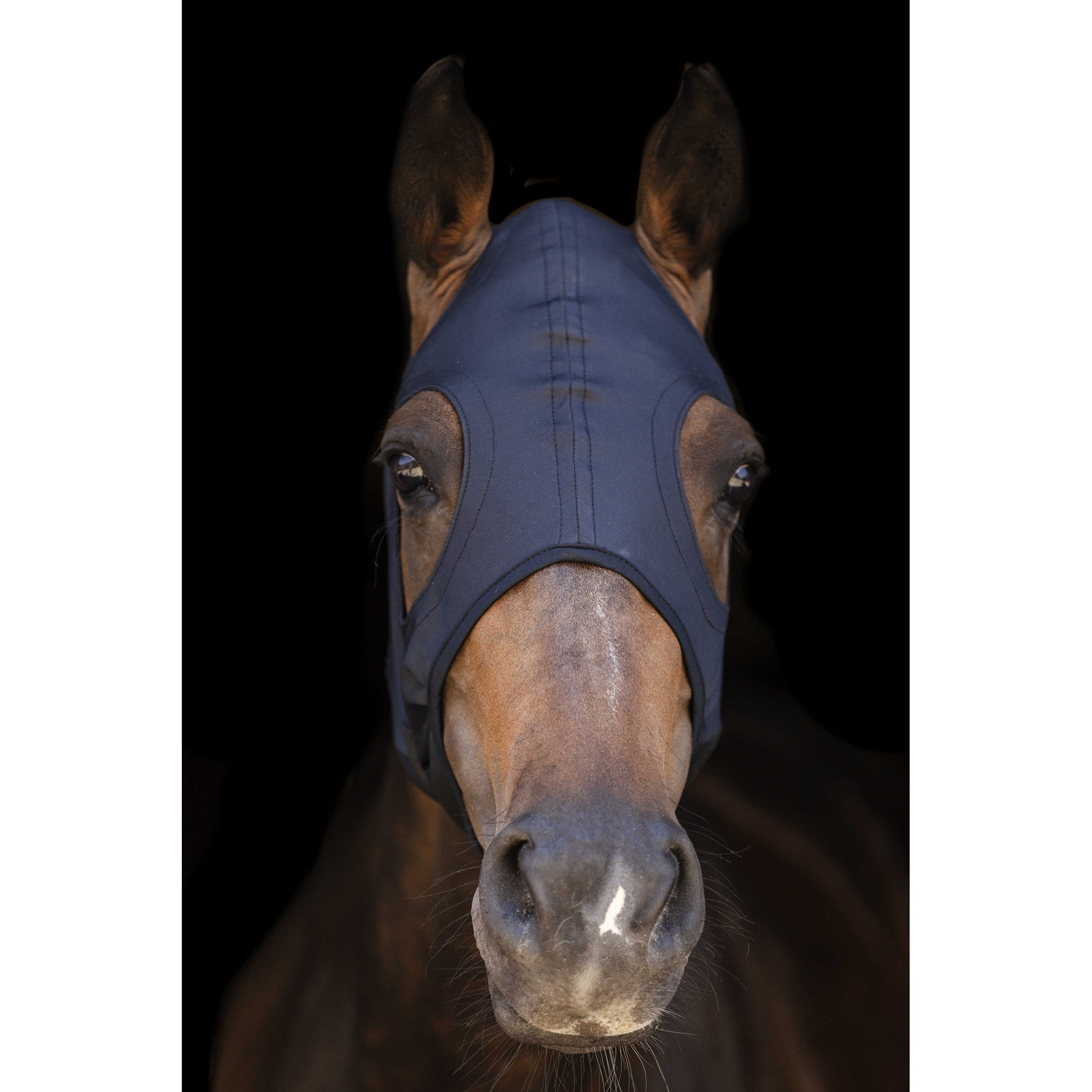 Lami-Cell Titanium Fly mask Black 320028202