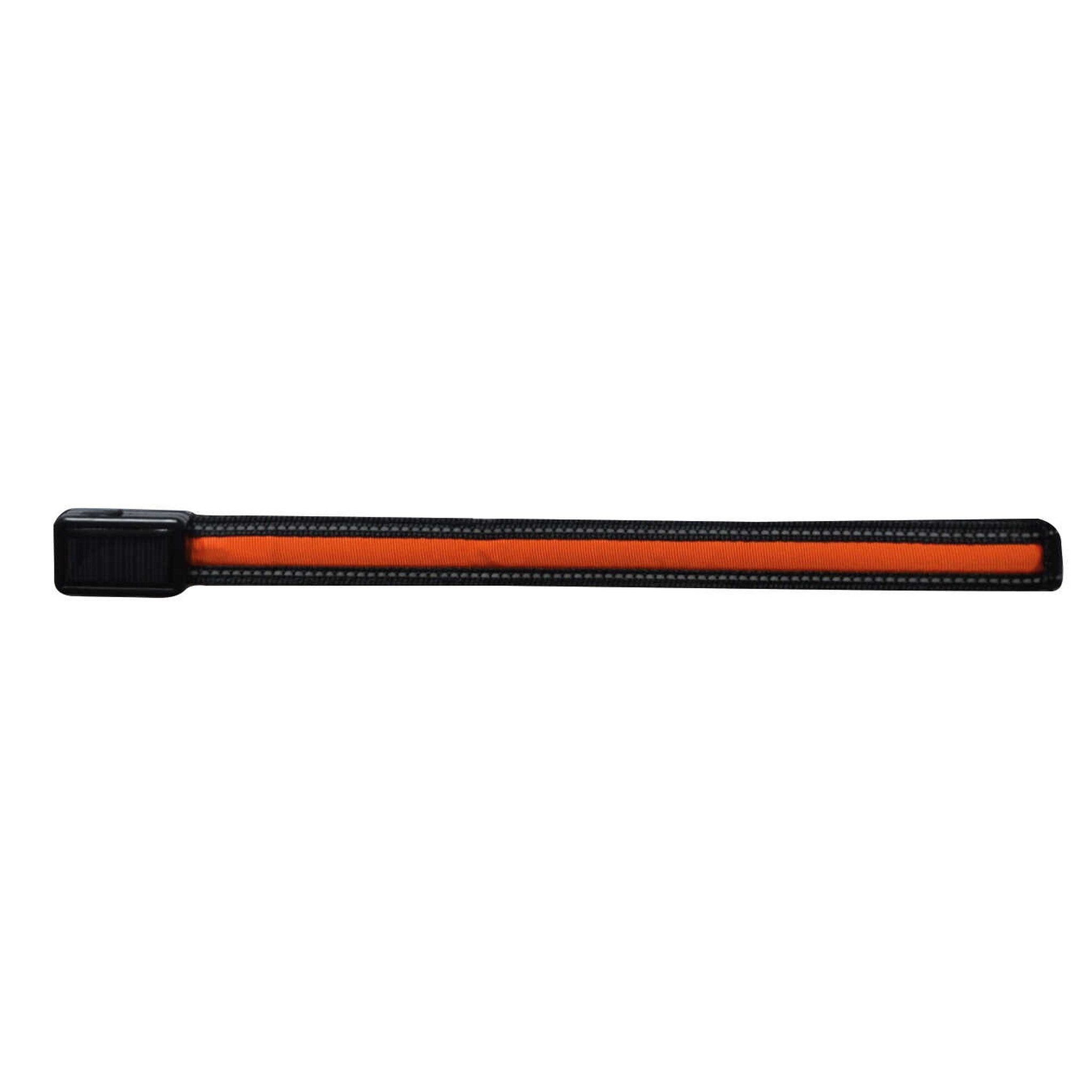 Equizor LED Browband Orange - 304947022_packshot_1