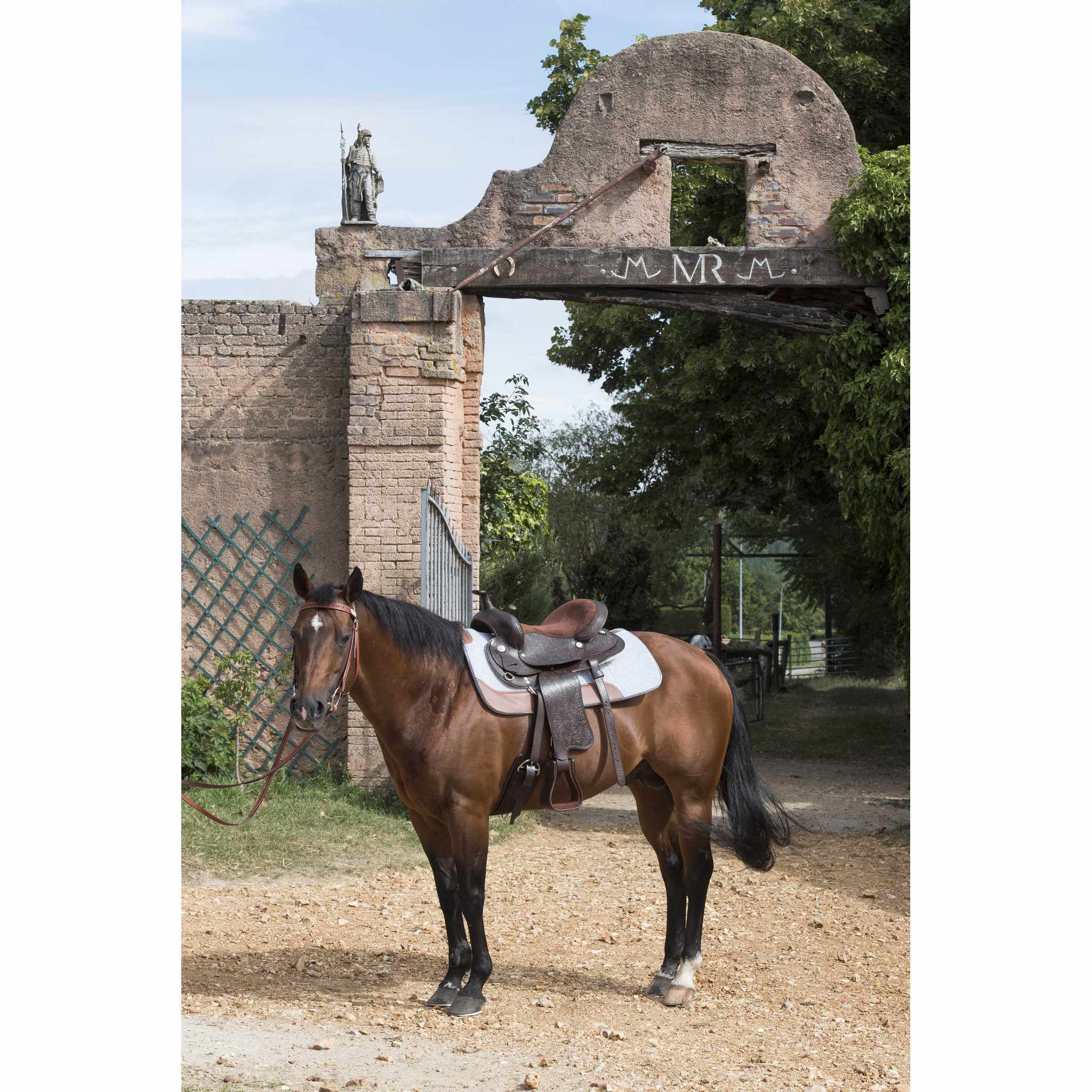 Westride felt horse pad Grey 801101011