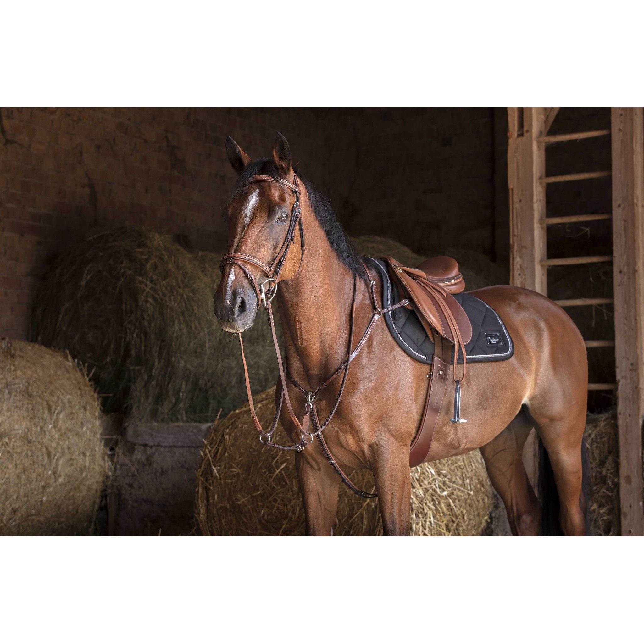 Eric Thomas Hybrid Breastplate Havana 306607318