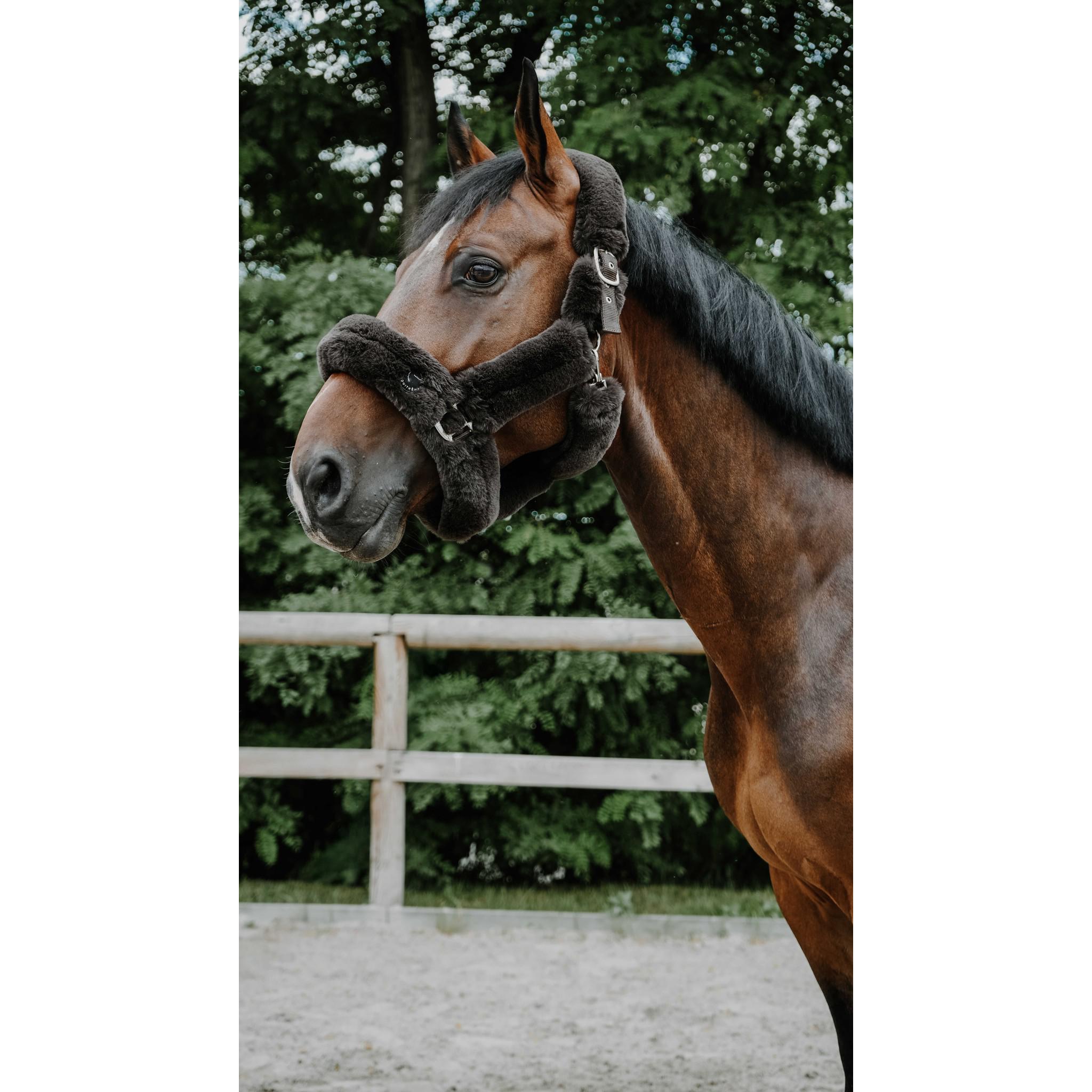 Je t'aime EQUITHÈME Snuggy Halter chestnut brown 510274304