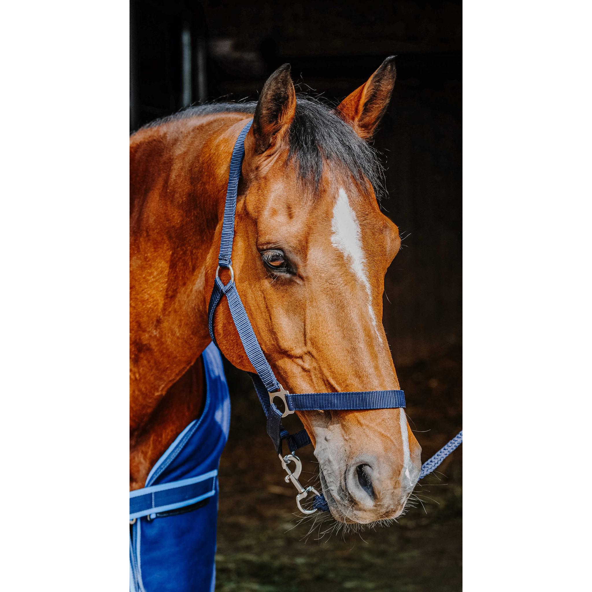 Riding World Full Set Navy blue 400989763