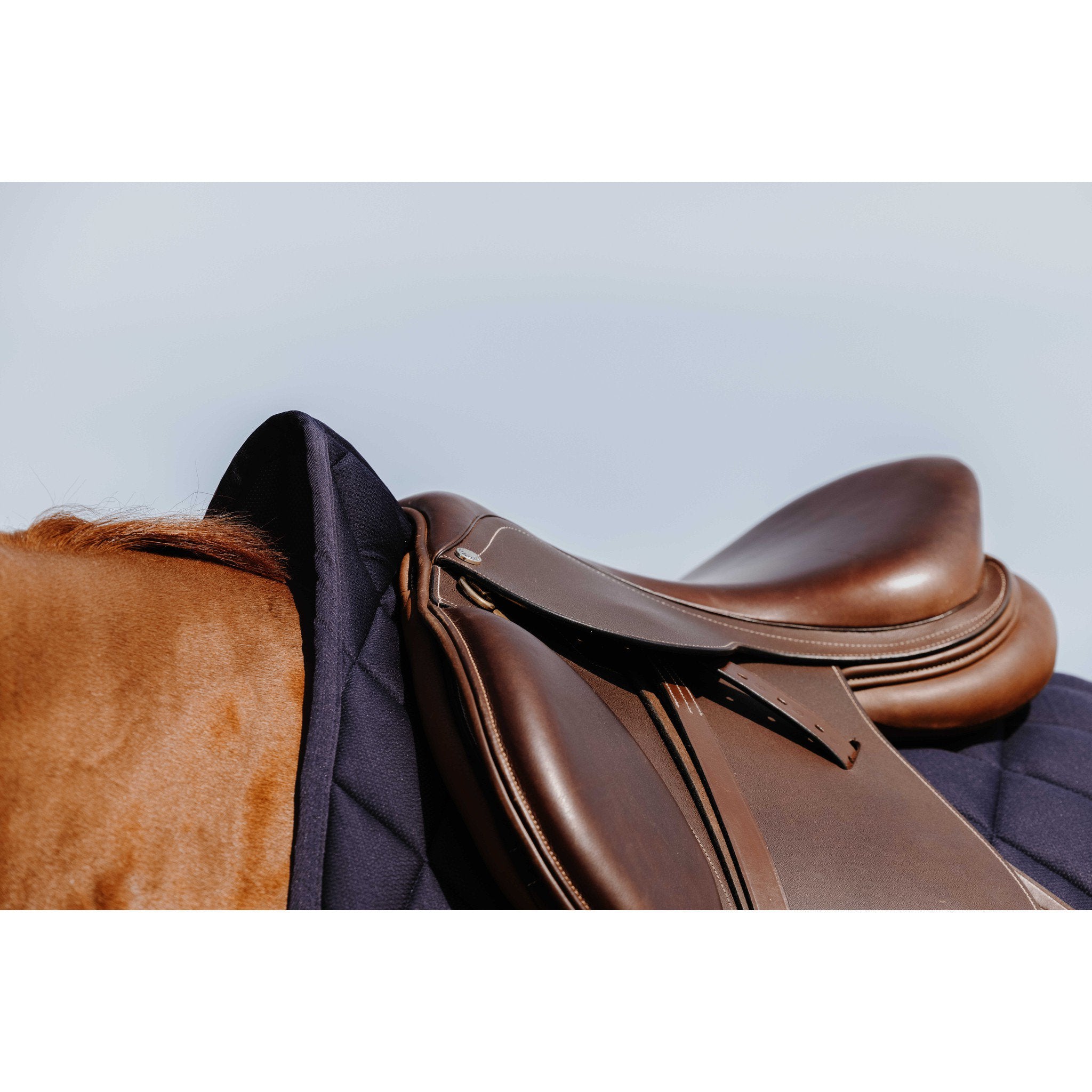 Riding World School Saddle Pad - All purpose Navy blue 204057007