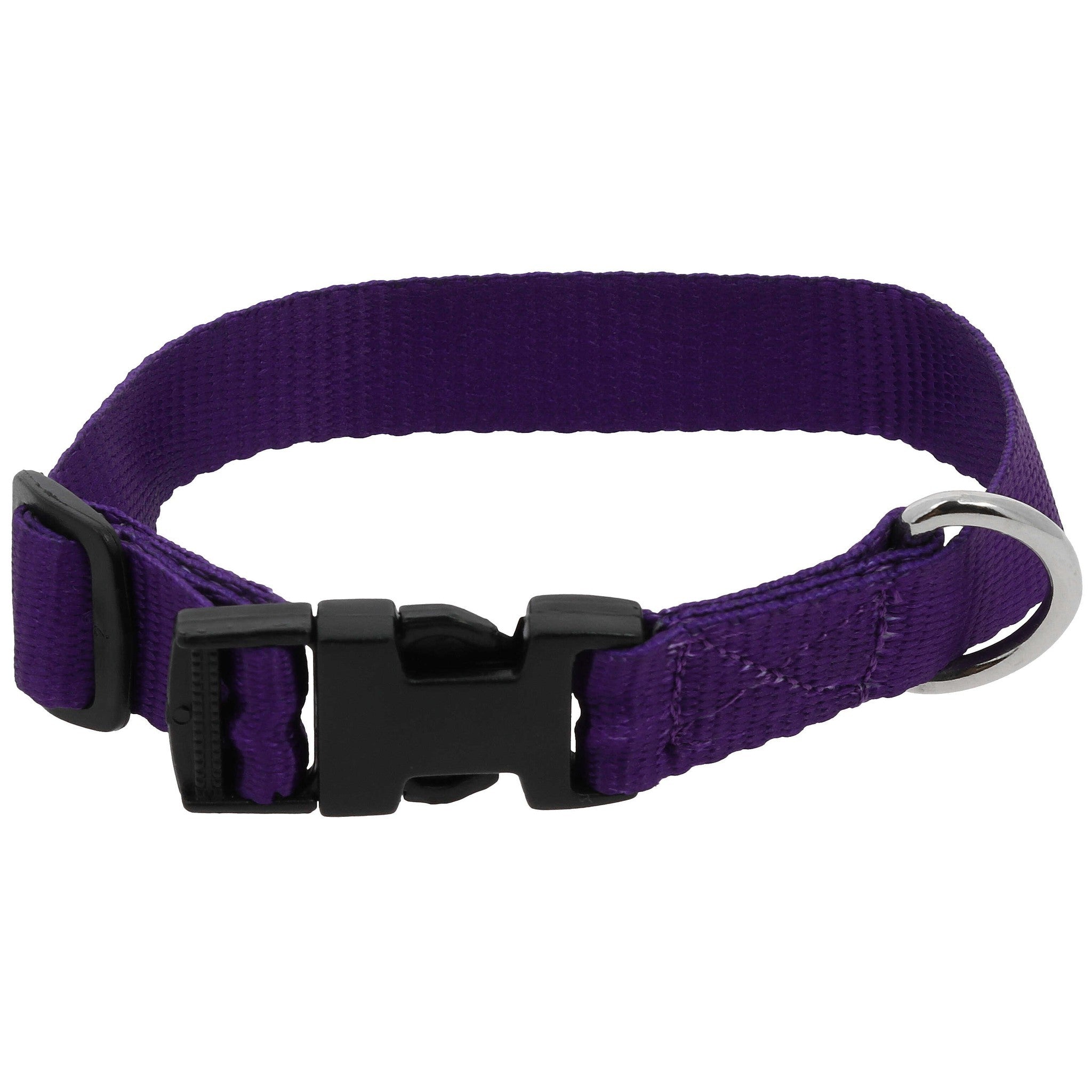 Riding World Pat Dog collar Purple 409058530