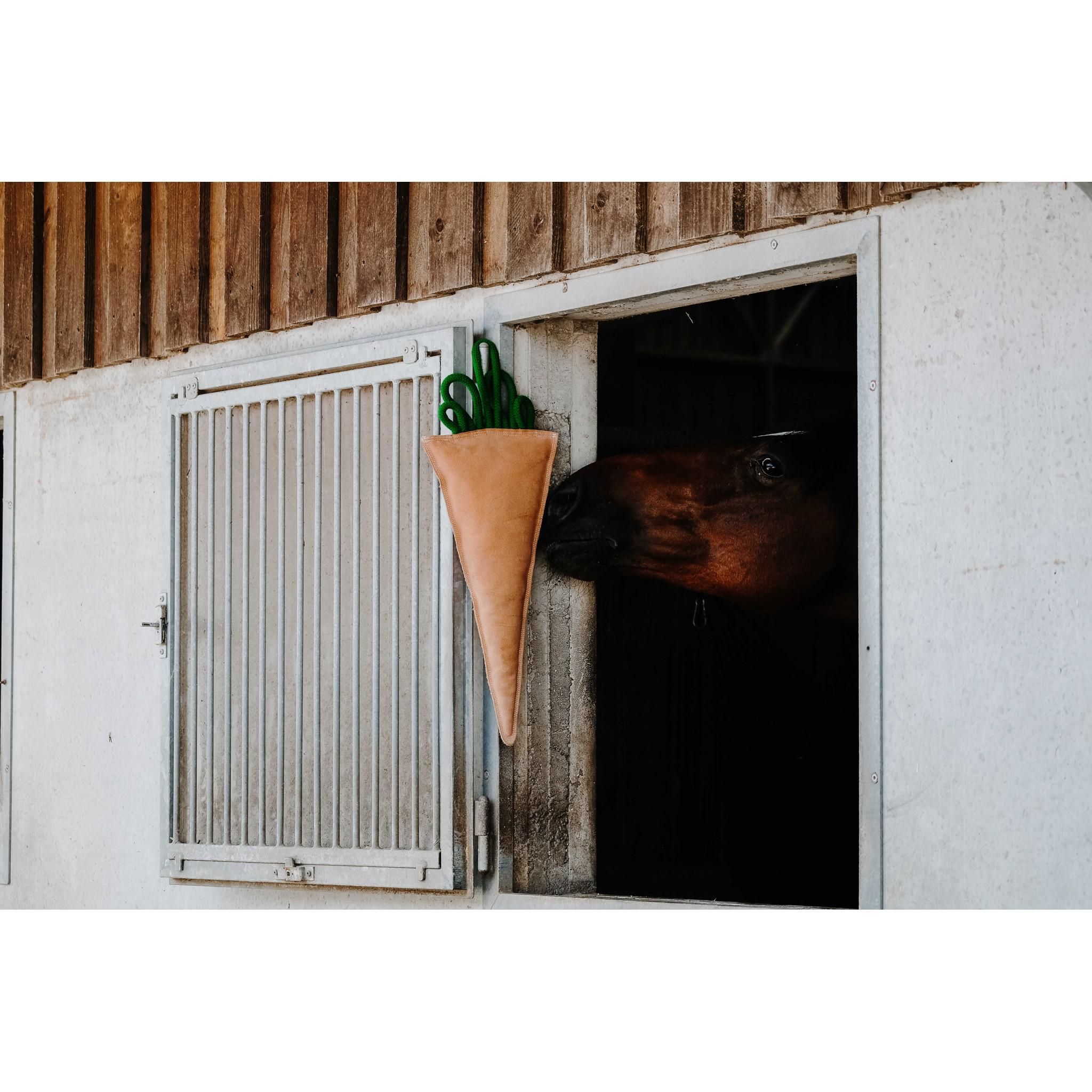 Hippo-Tonic Carotte Horse Toy Orange 700996022