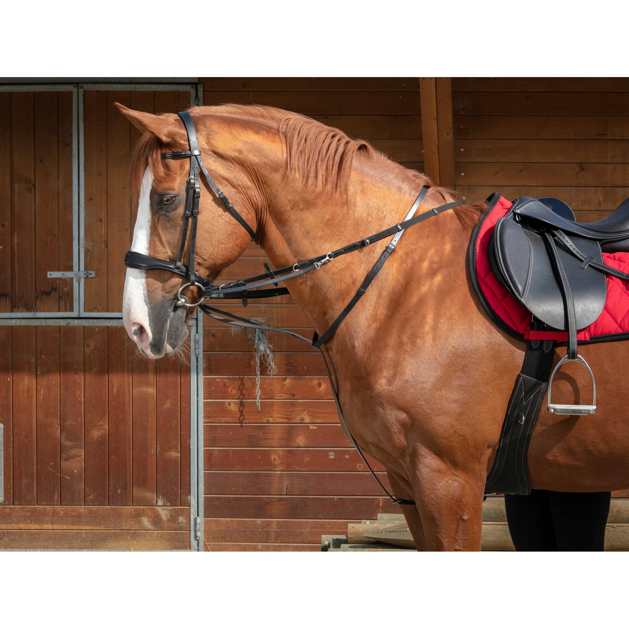 Norton Pro Thiedeman side reins Havana 306426318