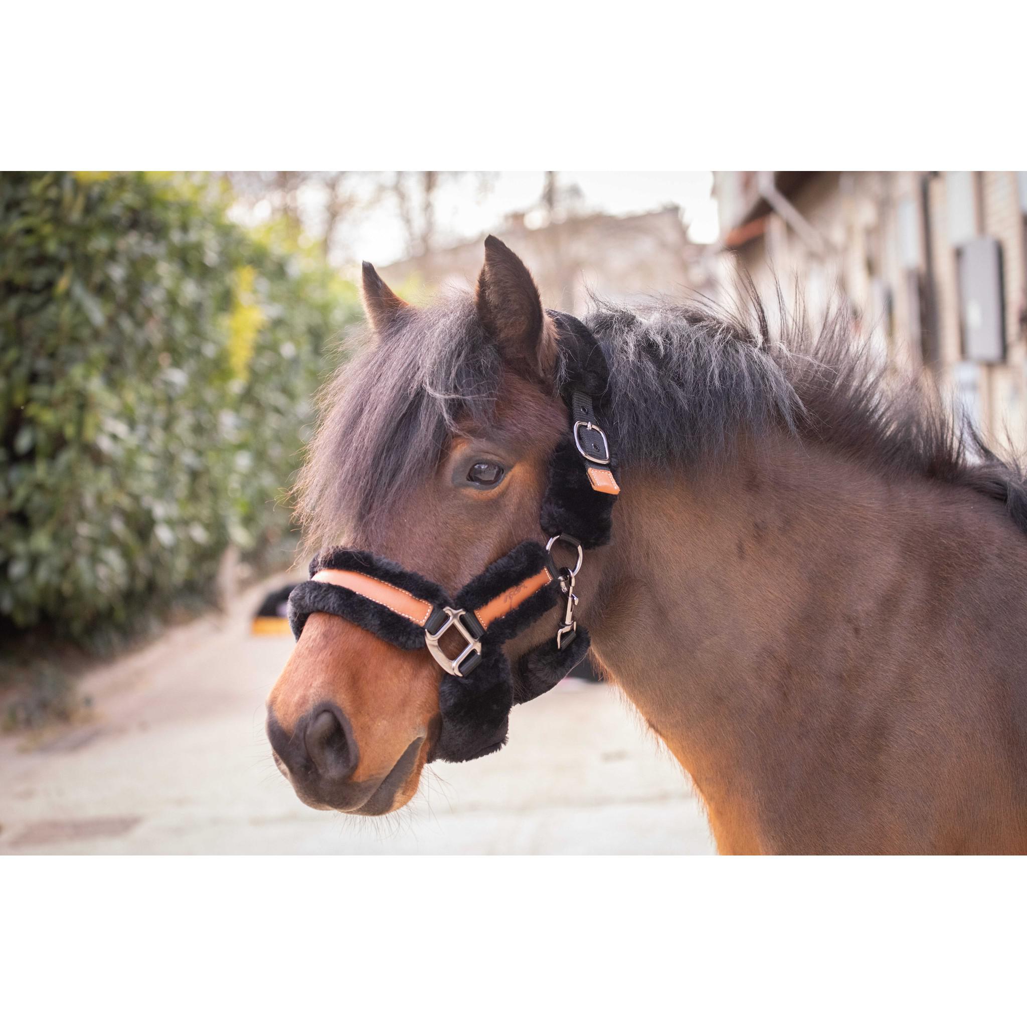 Pénélope Soft halter Black/black 510902022