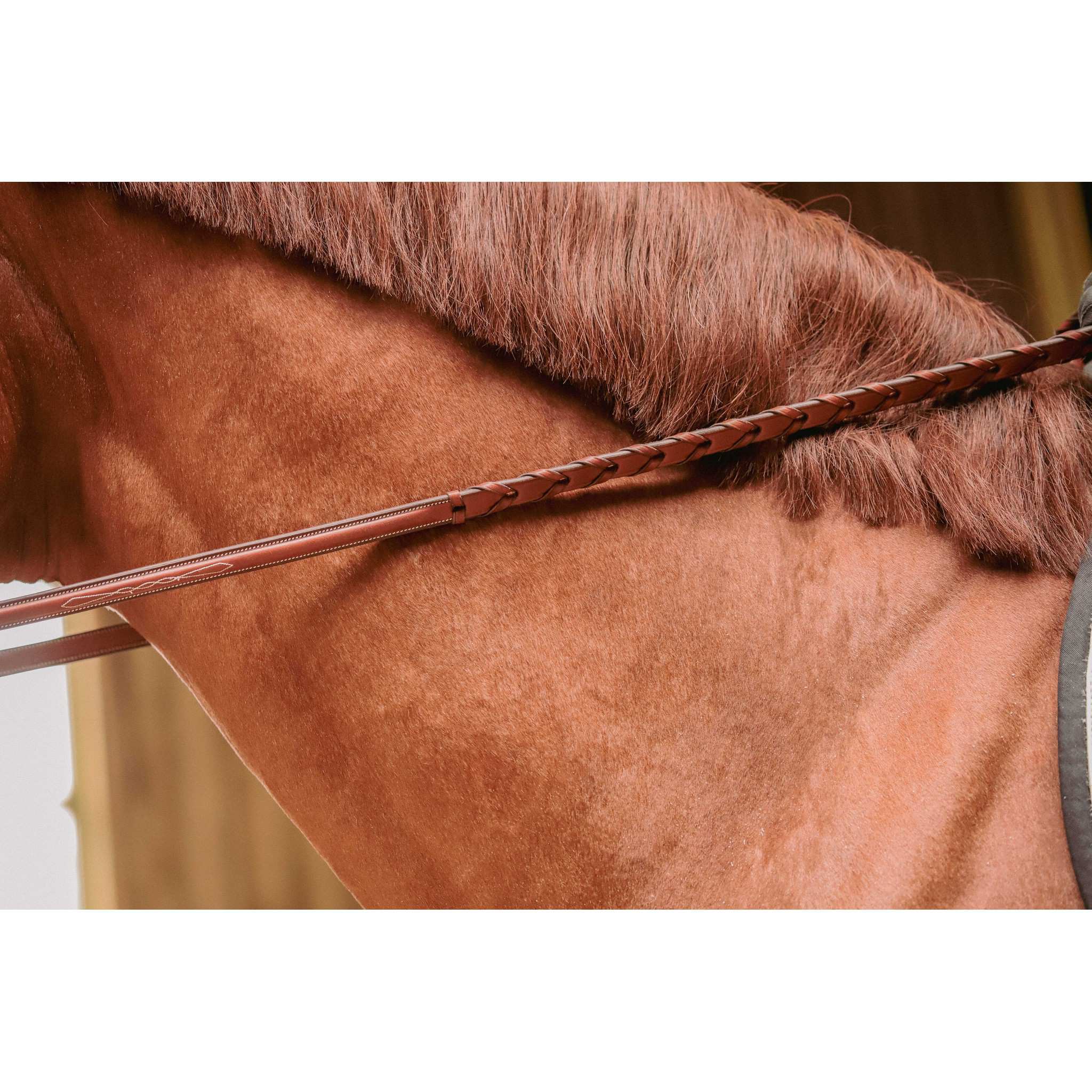 Pénélope Hunter US Bridle Chestnut 301610304