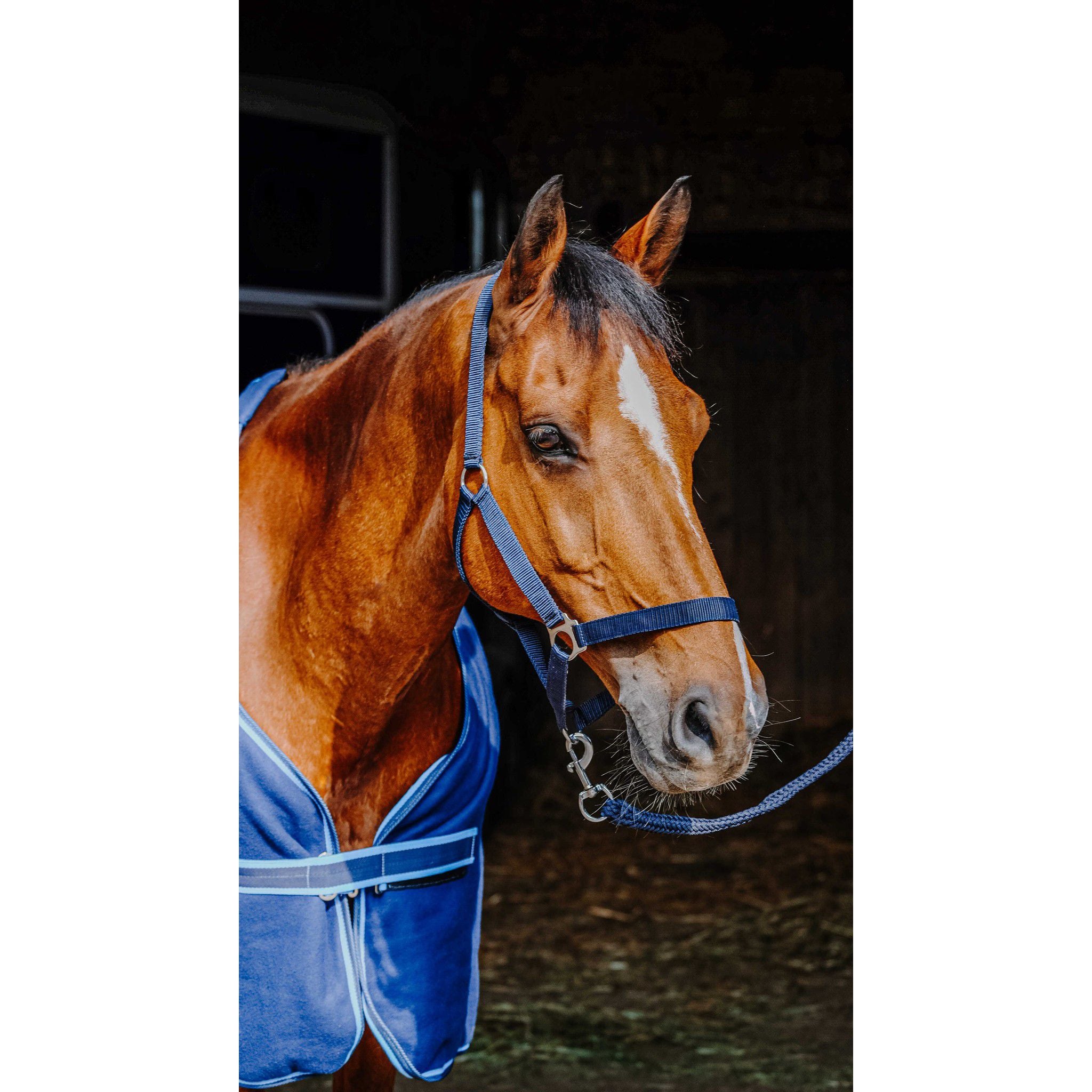 Riding World Full Set Navy blue 400989763